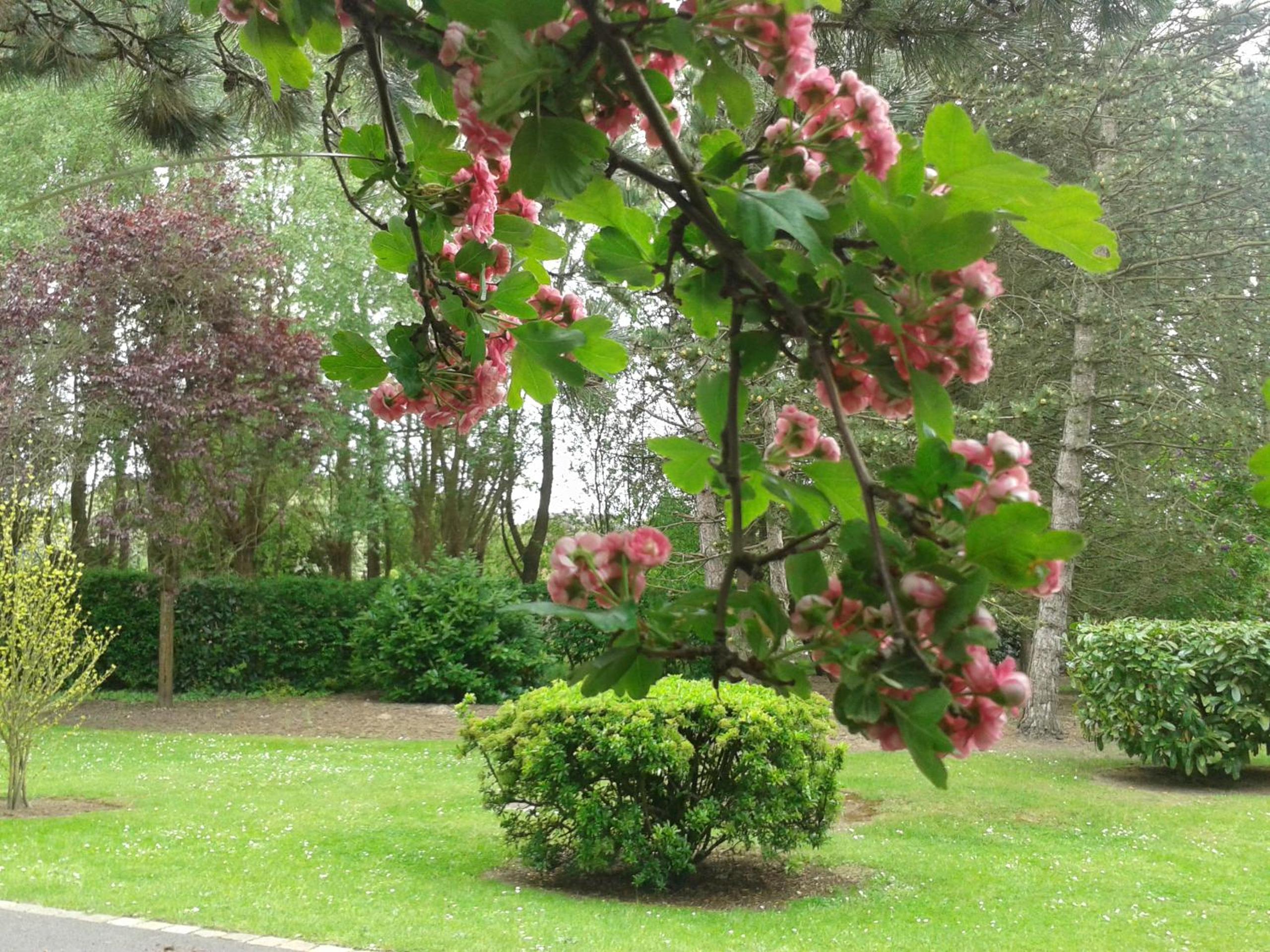 Photo 38