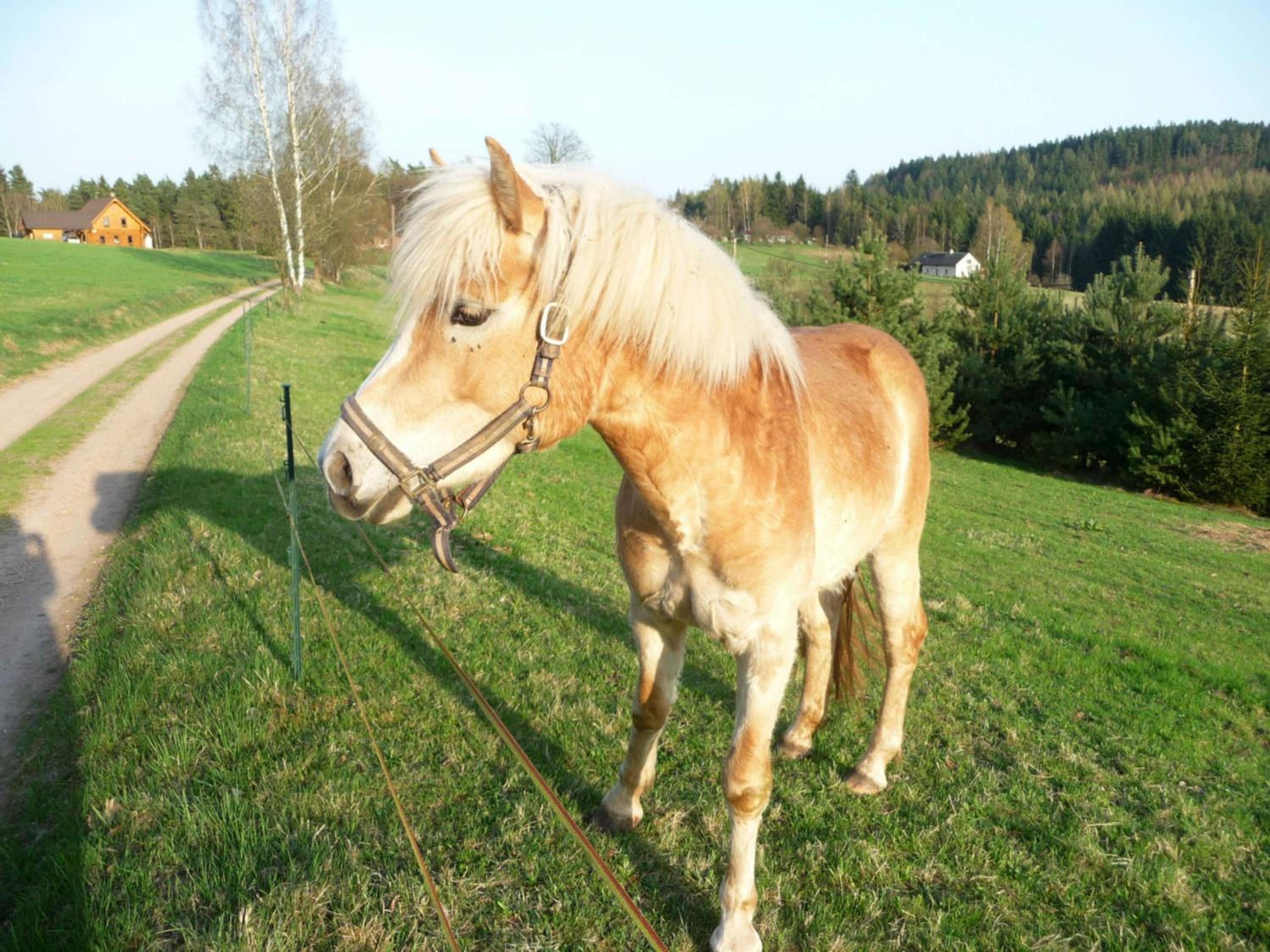 Ubytování Na Vejminku