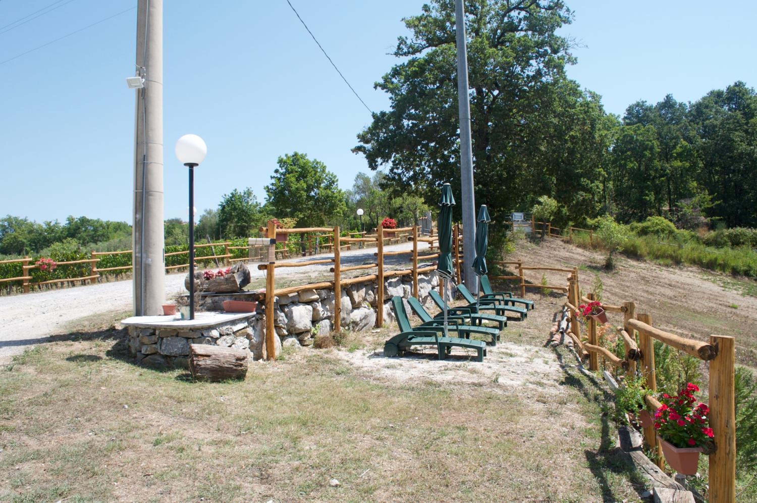 Photo 41