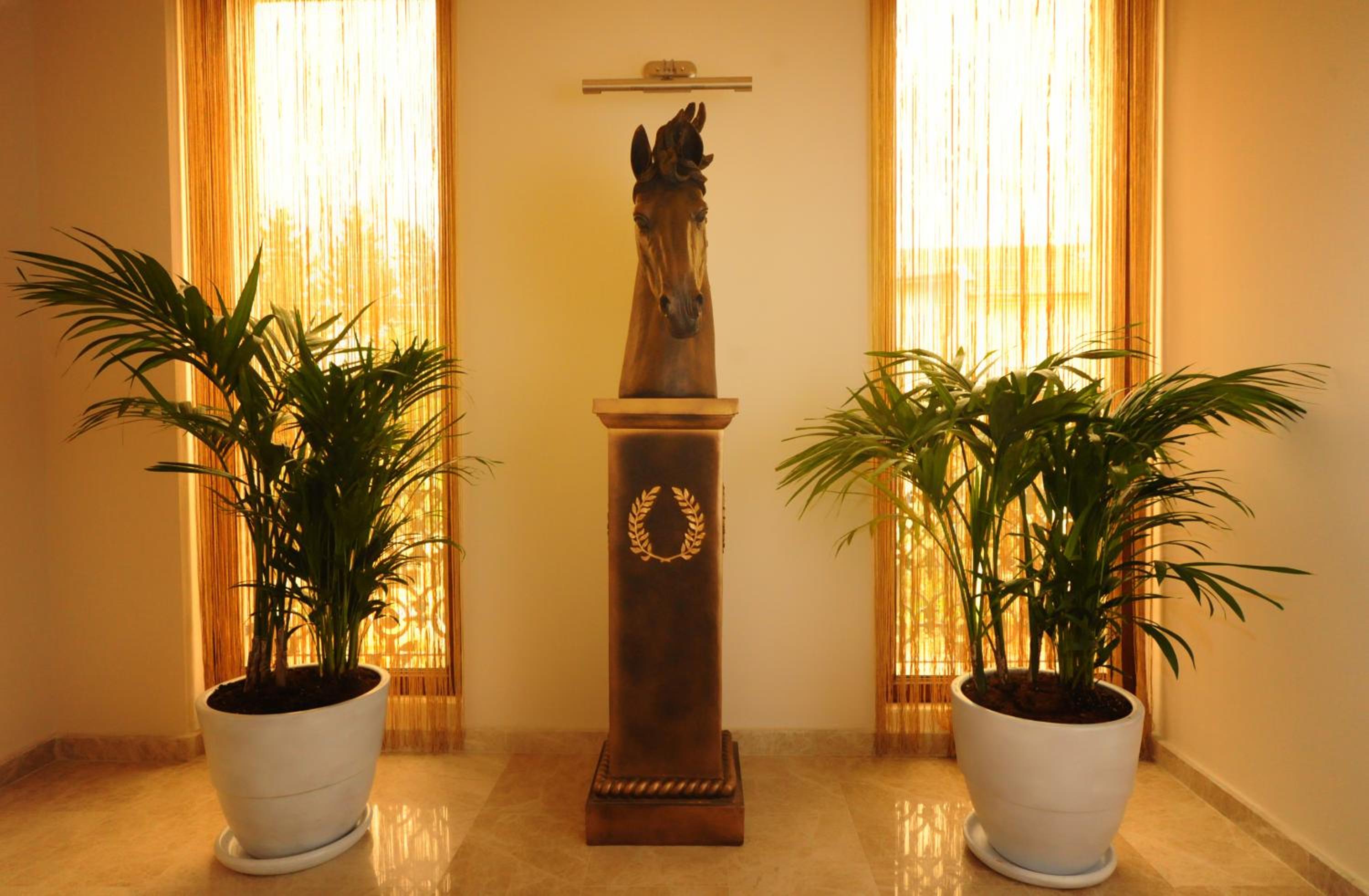 Blueberry Butik Otel - Image 45