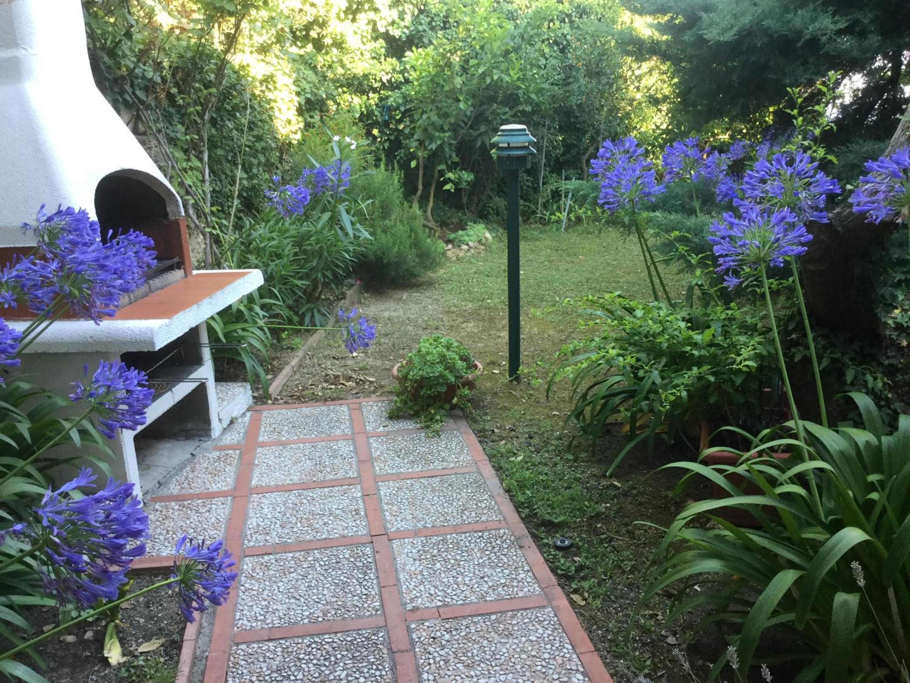 Photo 25