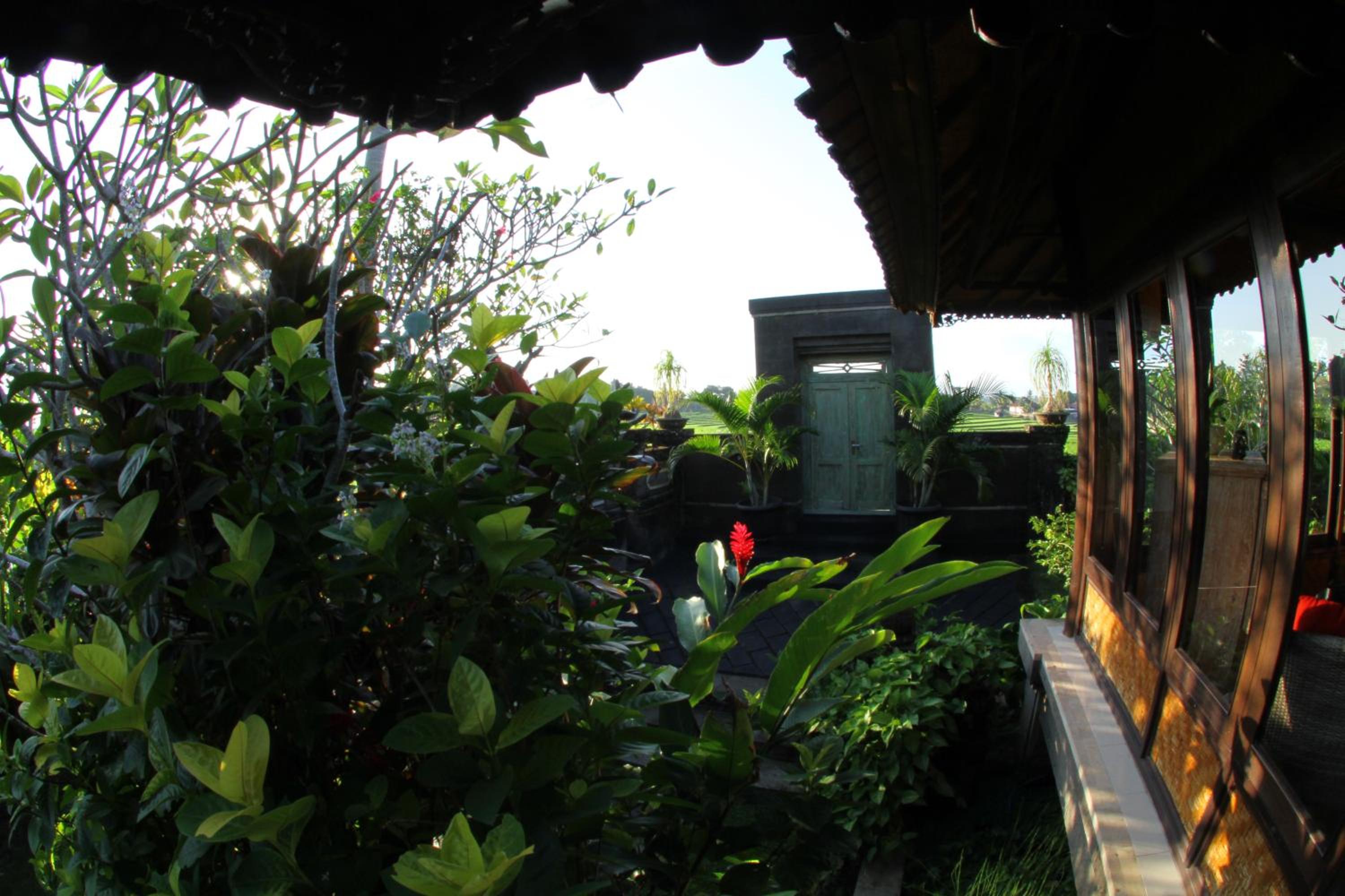 Photo 48
