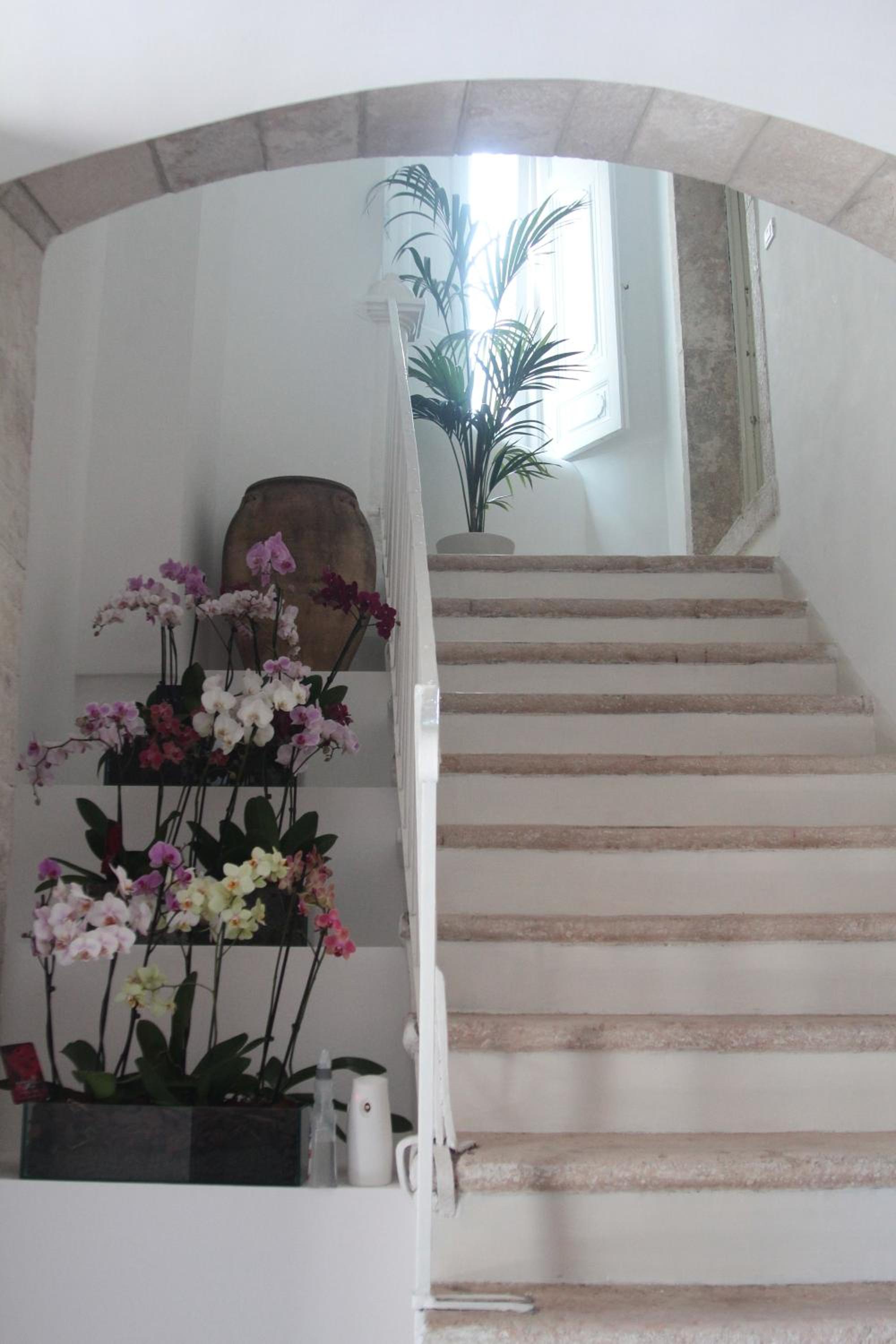 Edificio 15 House Elite