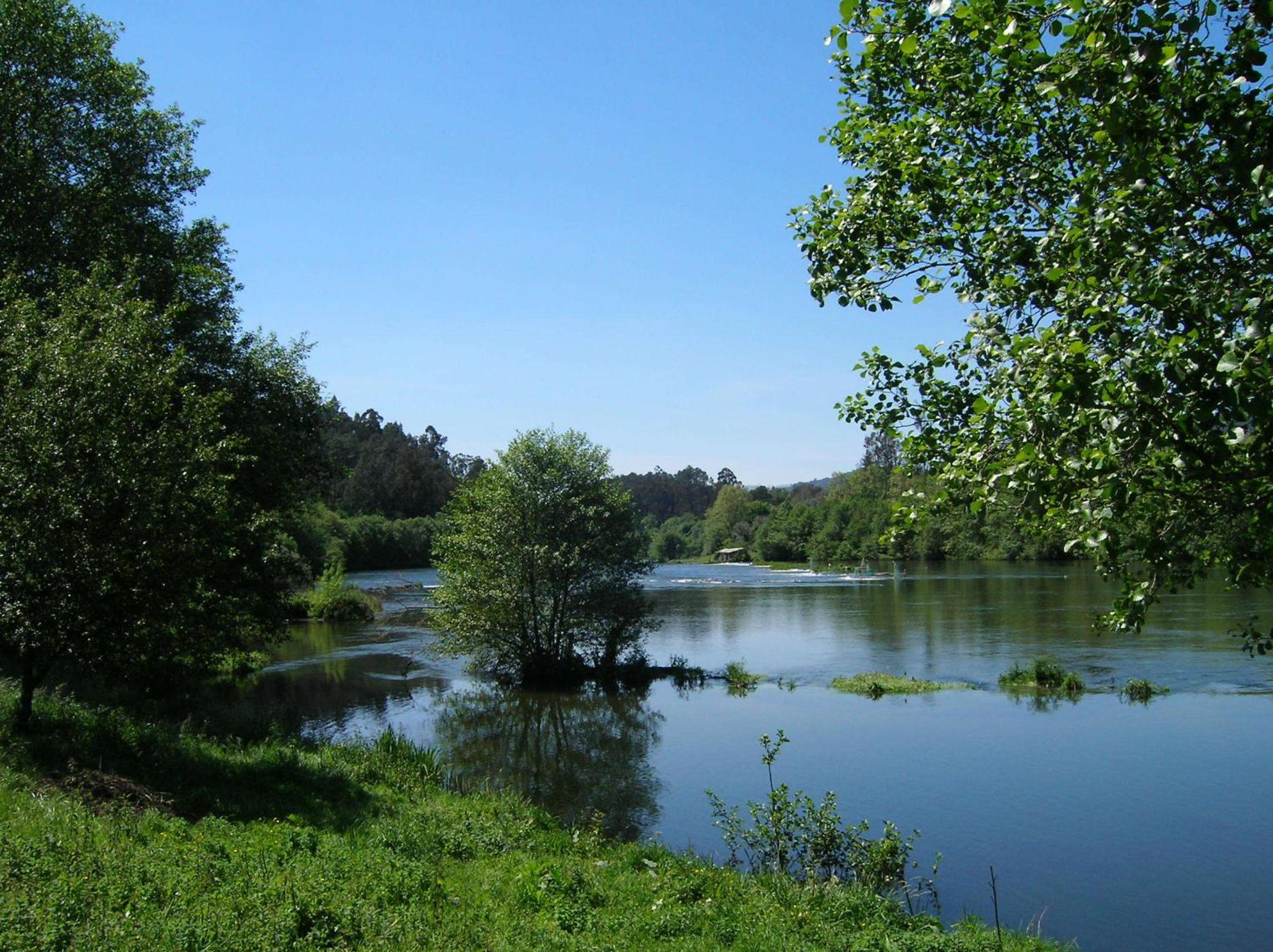 Photo 46