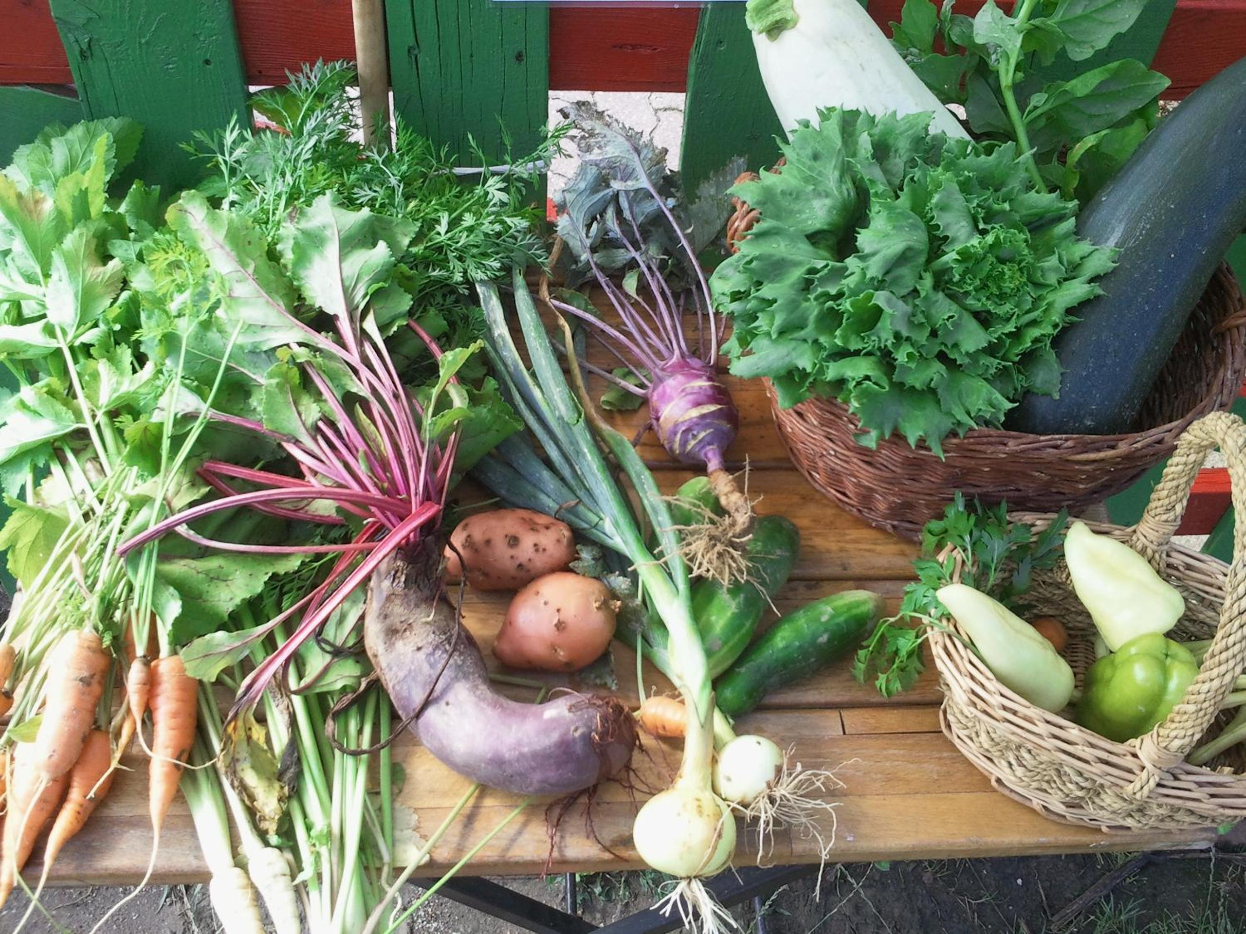 Kerca Bio Farm