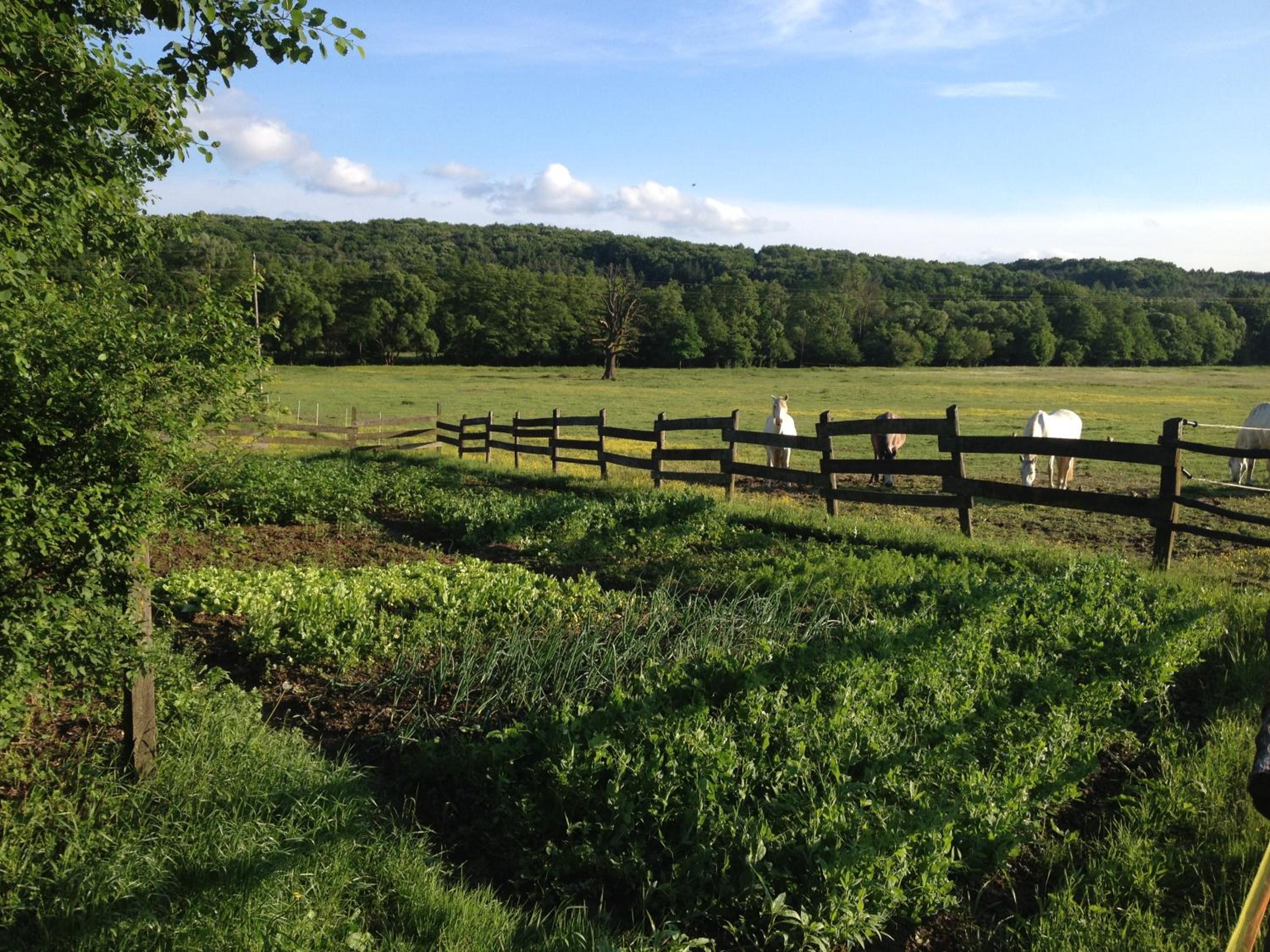 Kerca Bio Farm