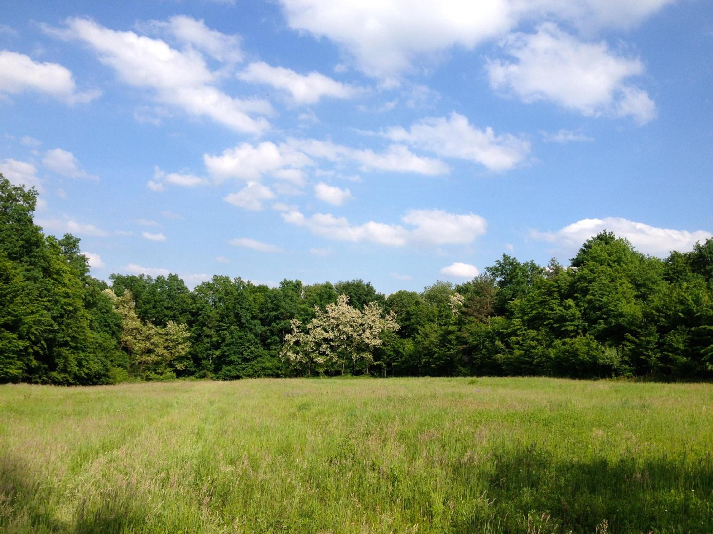Kerca Bio Farm