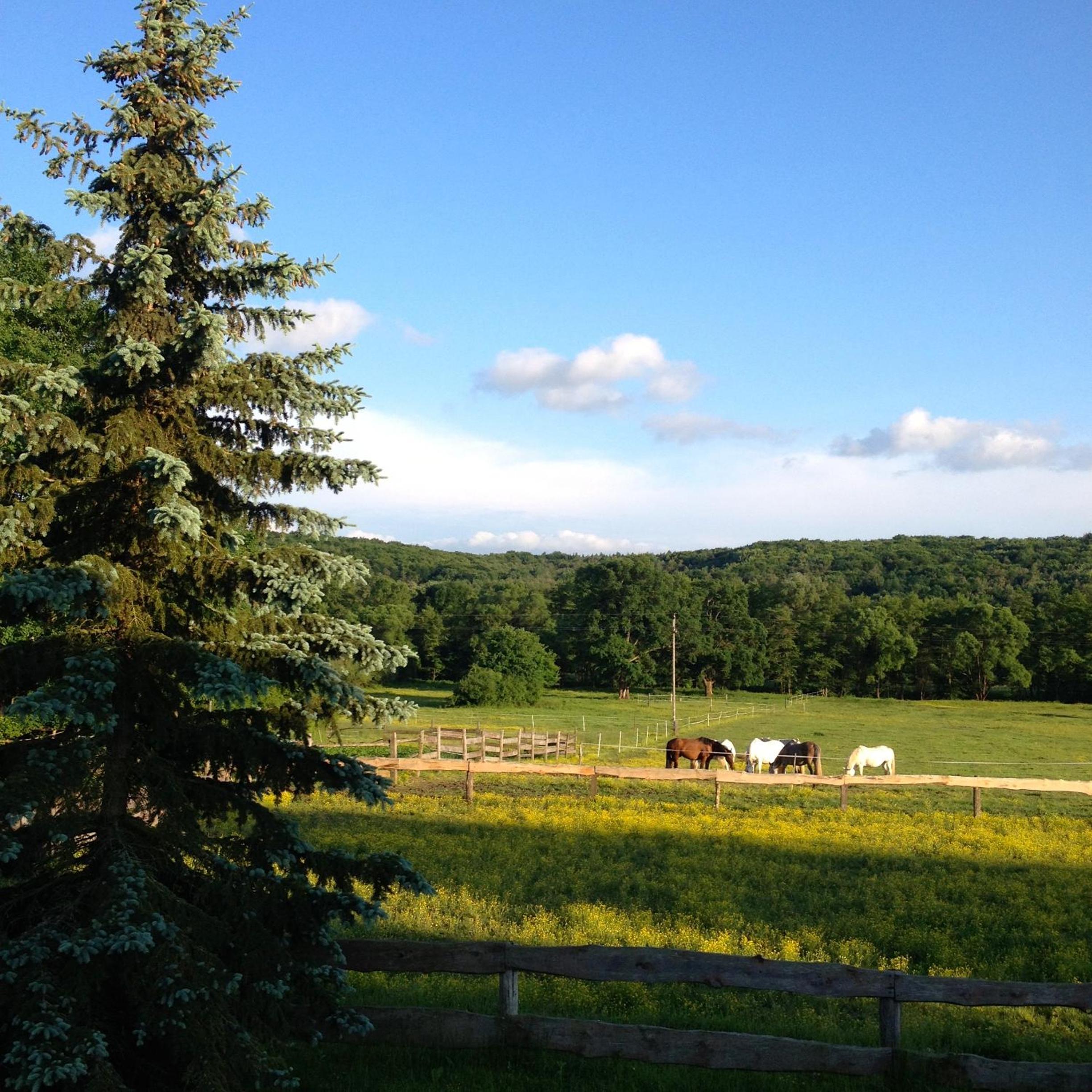 Kerca Bio Farm