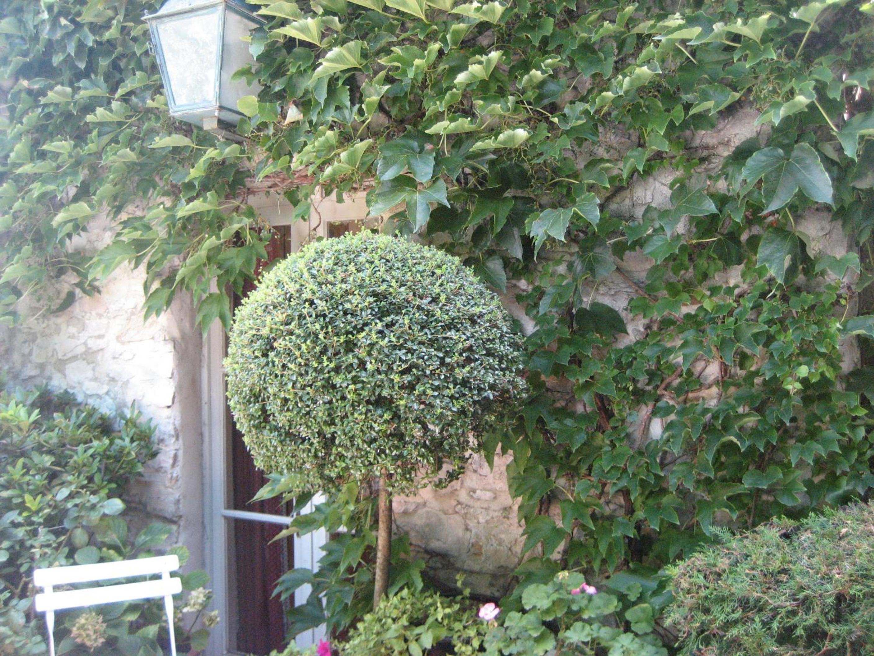 Photo 23