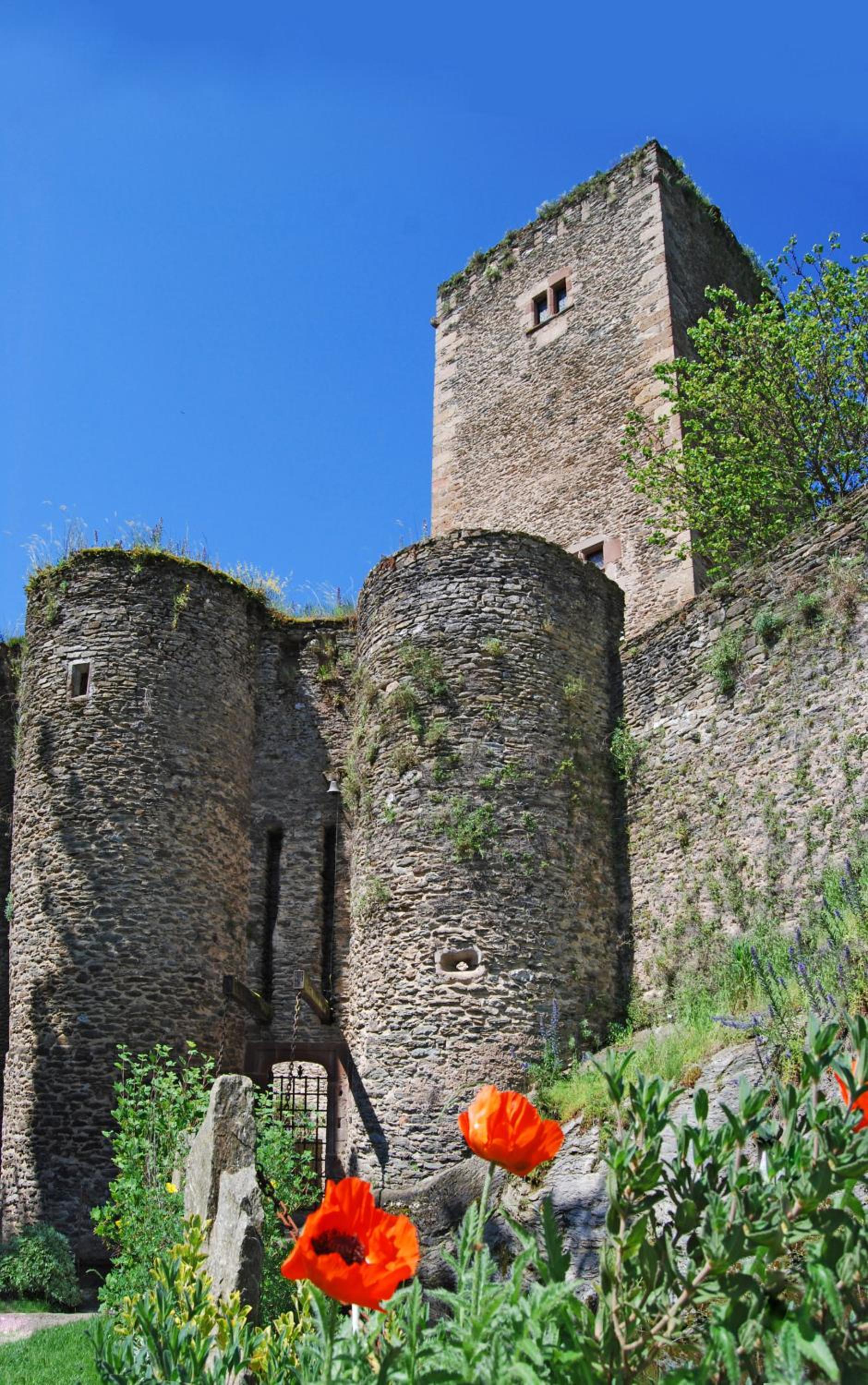Photo 24