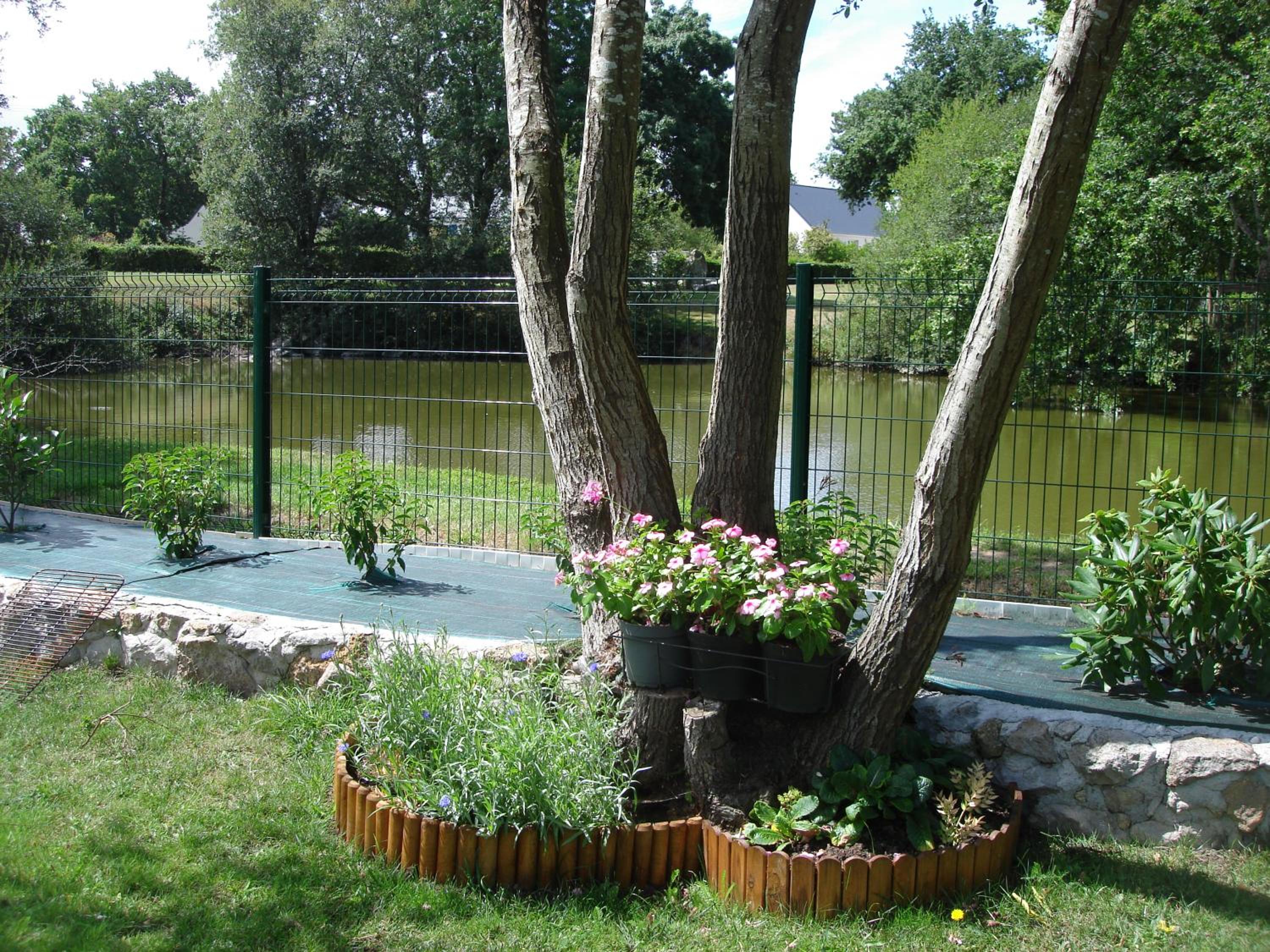 Photo 28