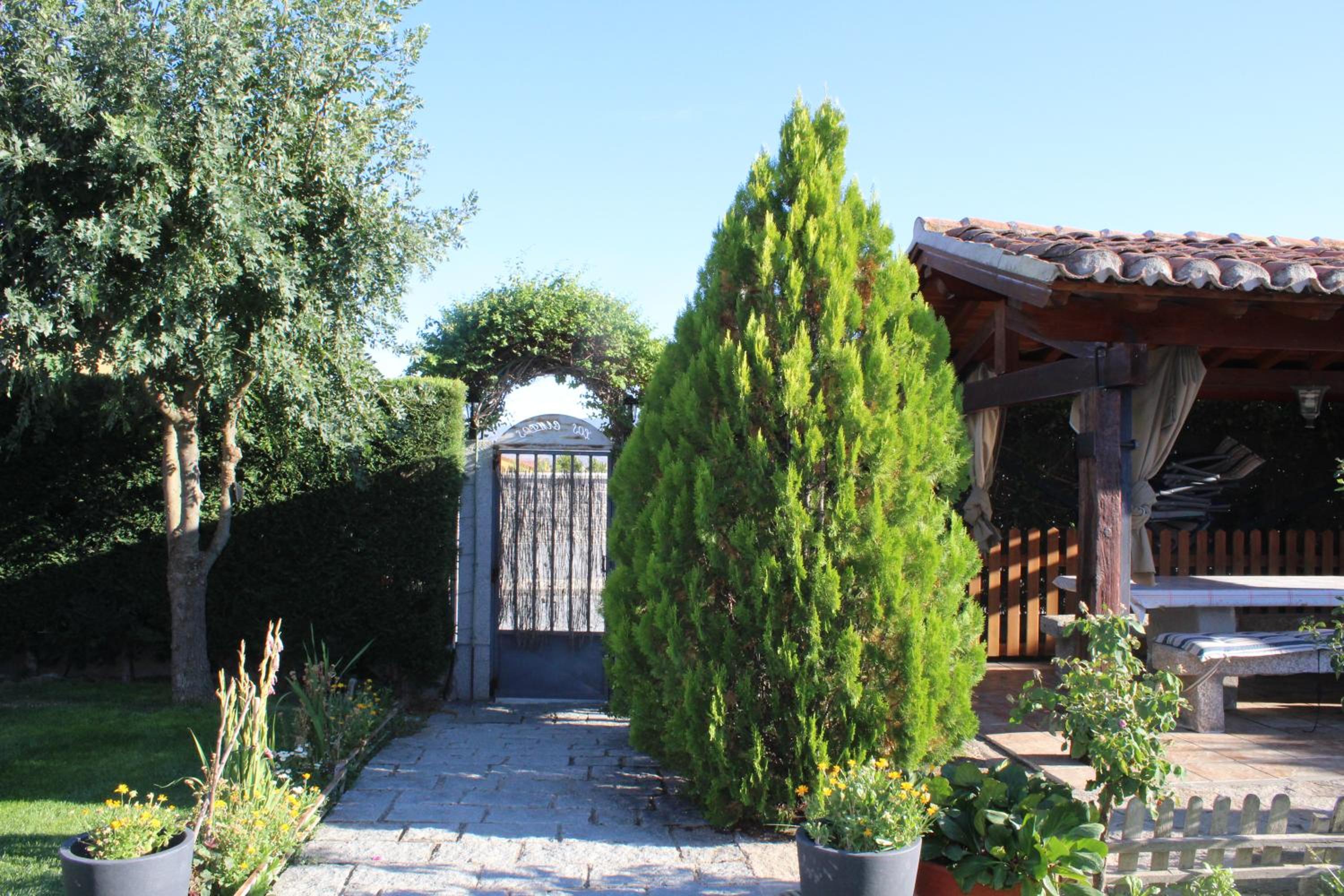 Photo 16