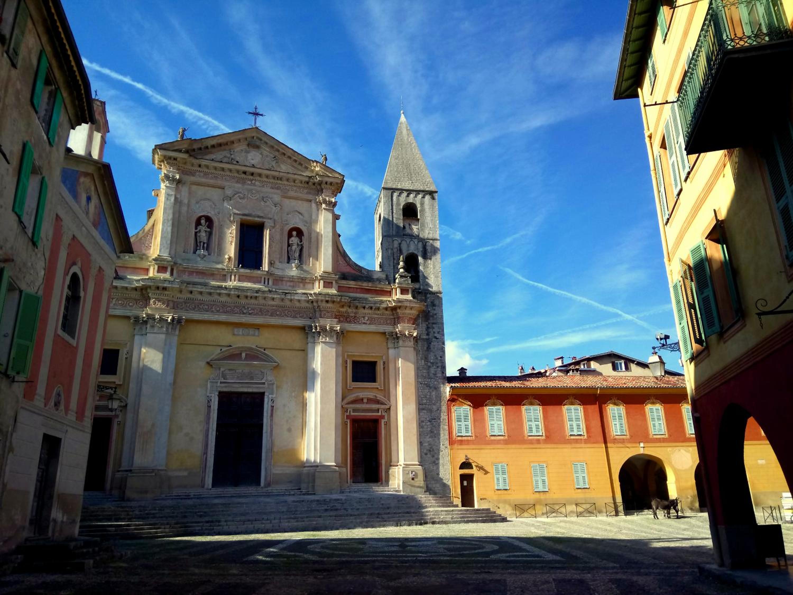 Photo 20