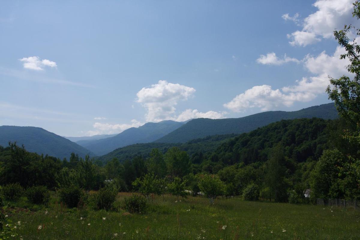 Vacation Home Selo Boykovets