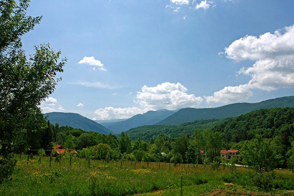 Vacation Home Selo Boykovets