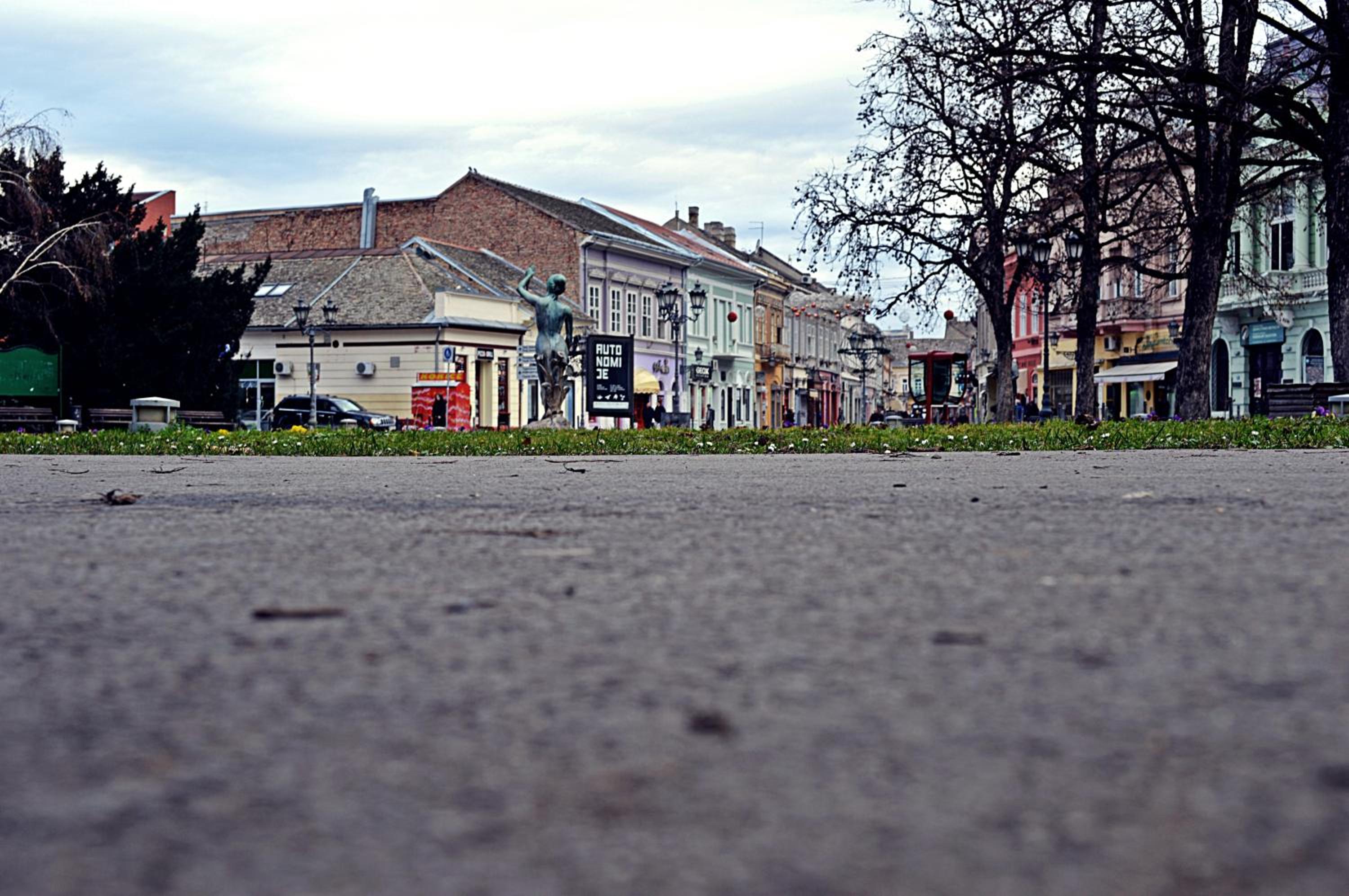 Photo 44