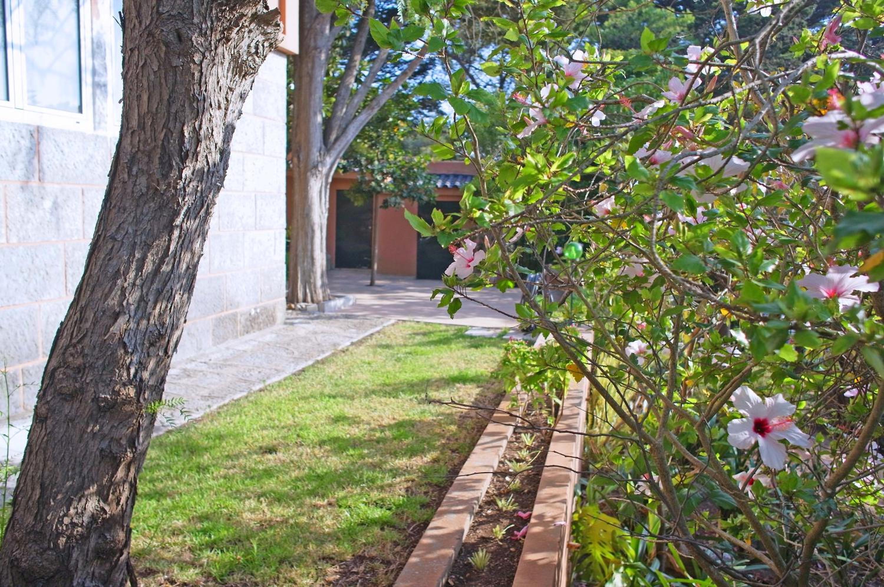 Photo 42