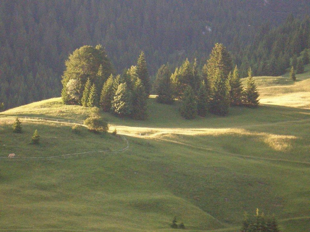 Alpenhof