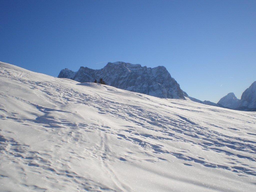 Alpenhof