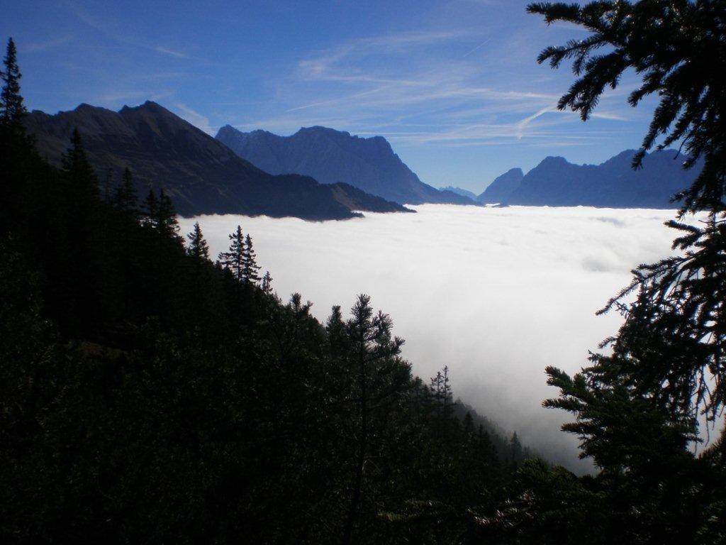 Alpenhof