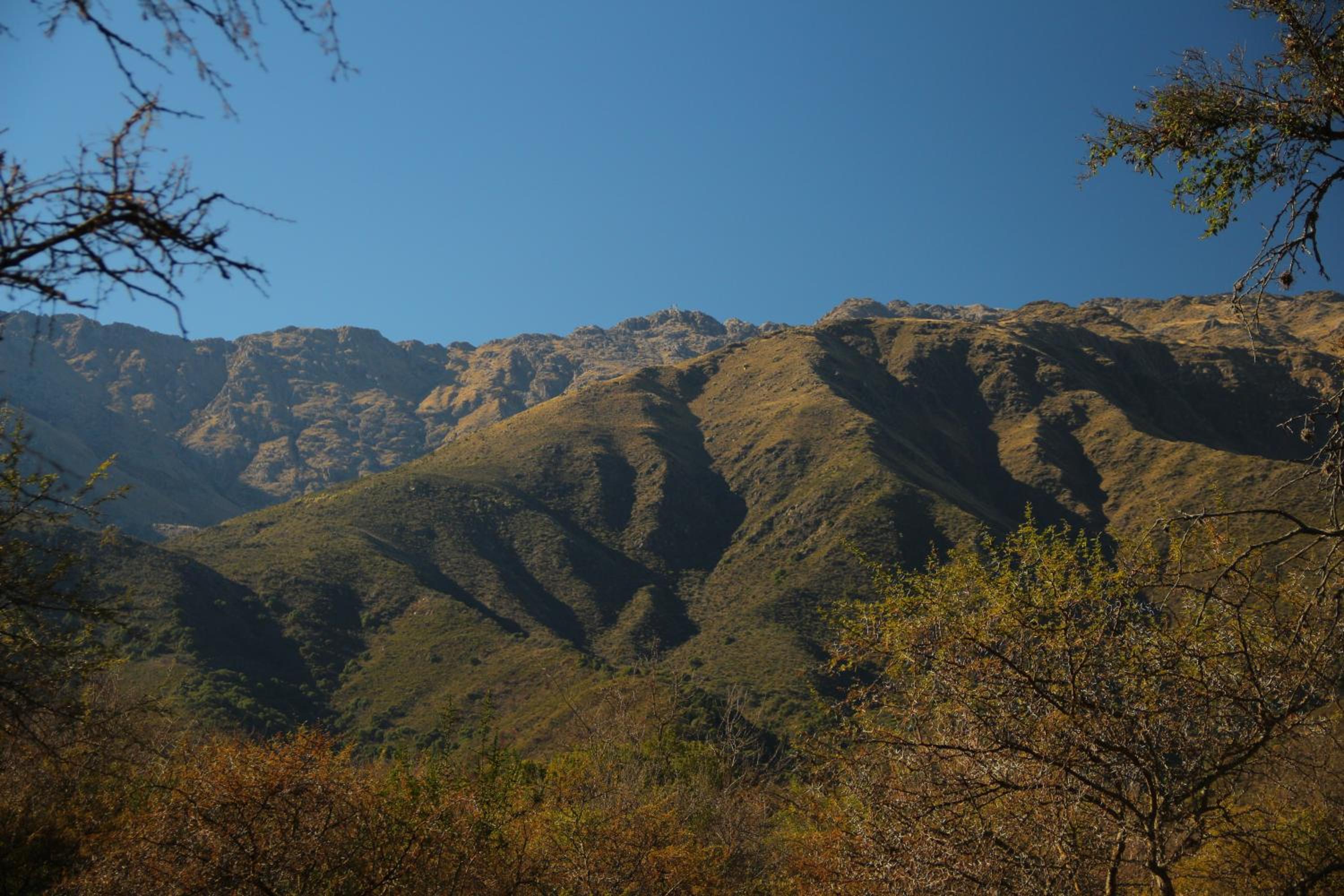 Samsara Traslasierra
