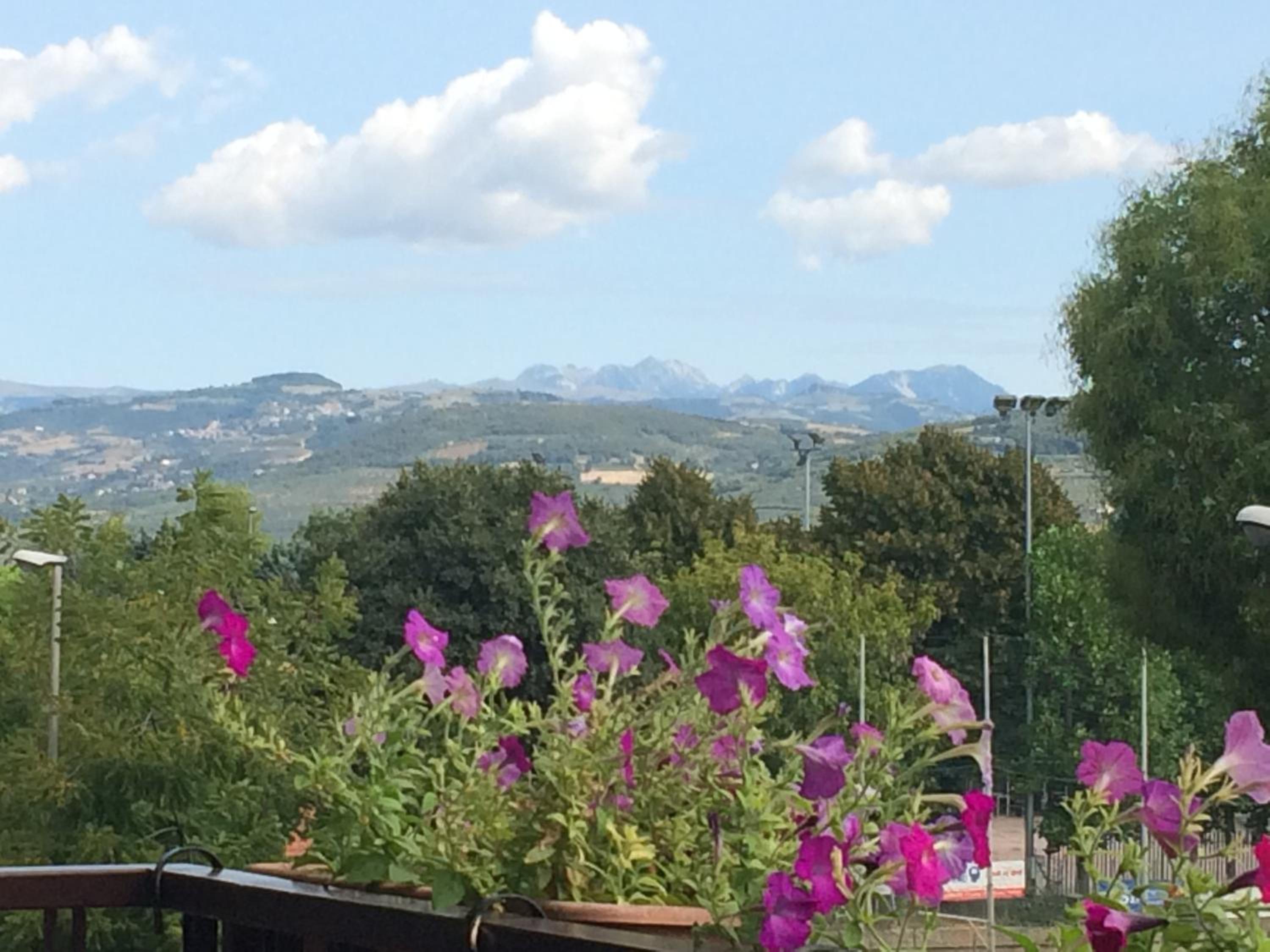 B&B Pergolesi