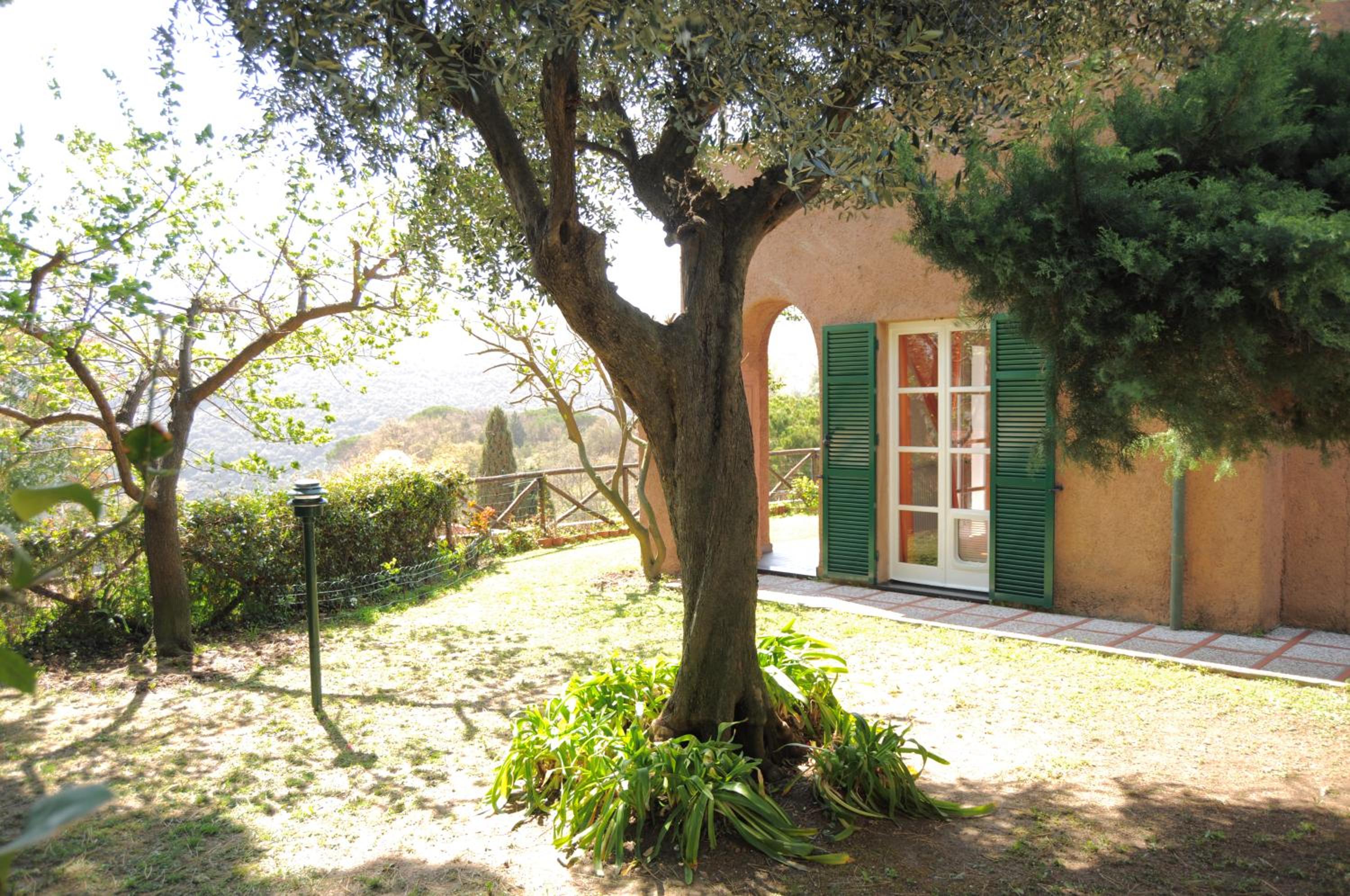 Photo 22