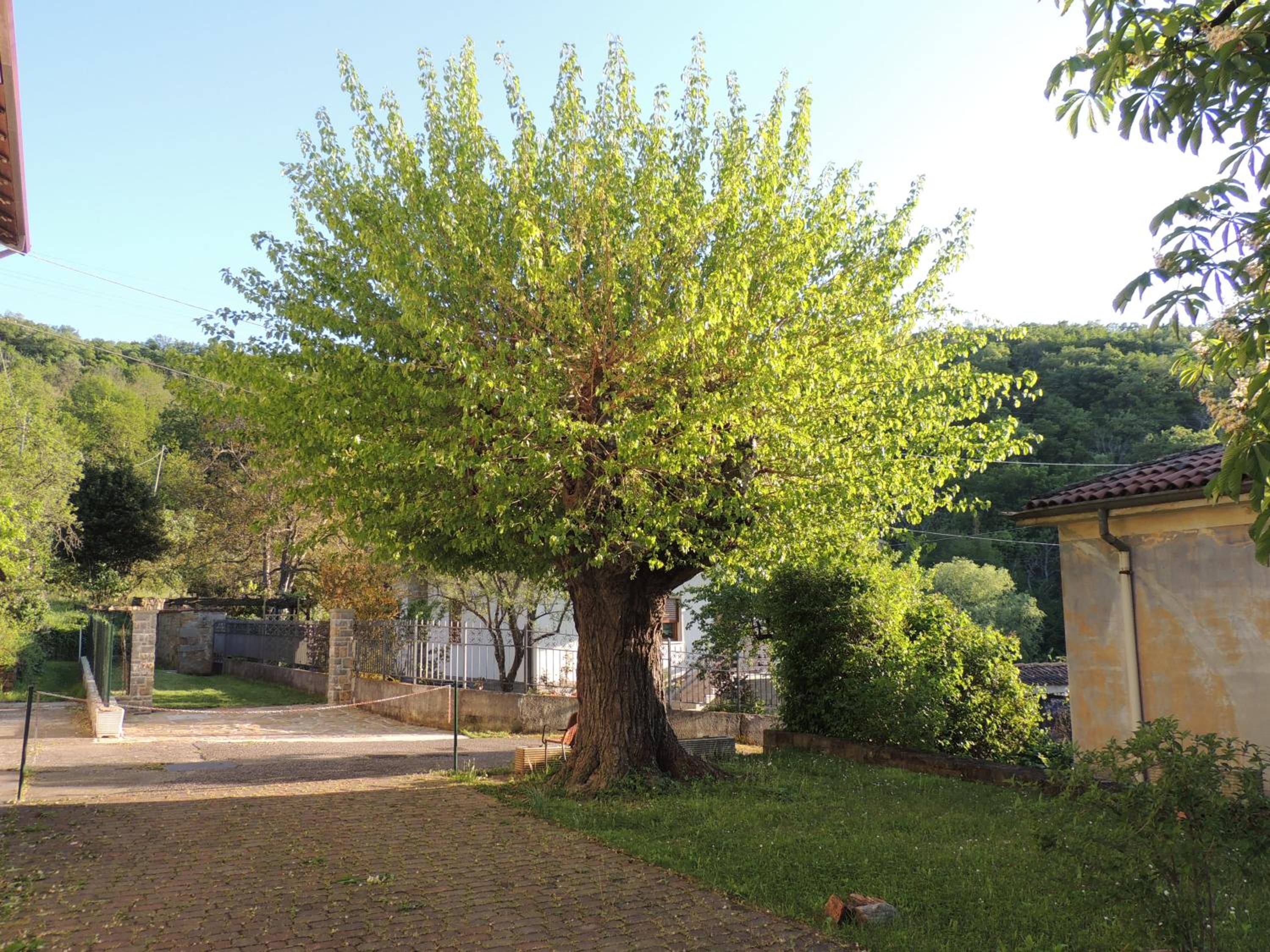 Photo 27