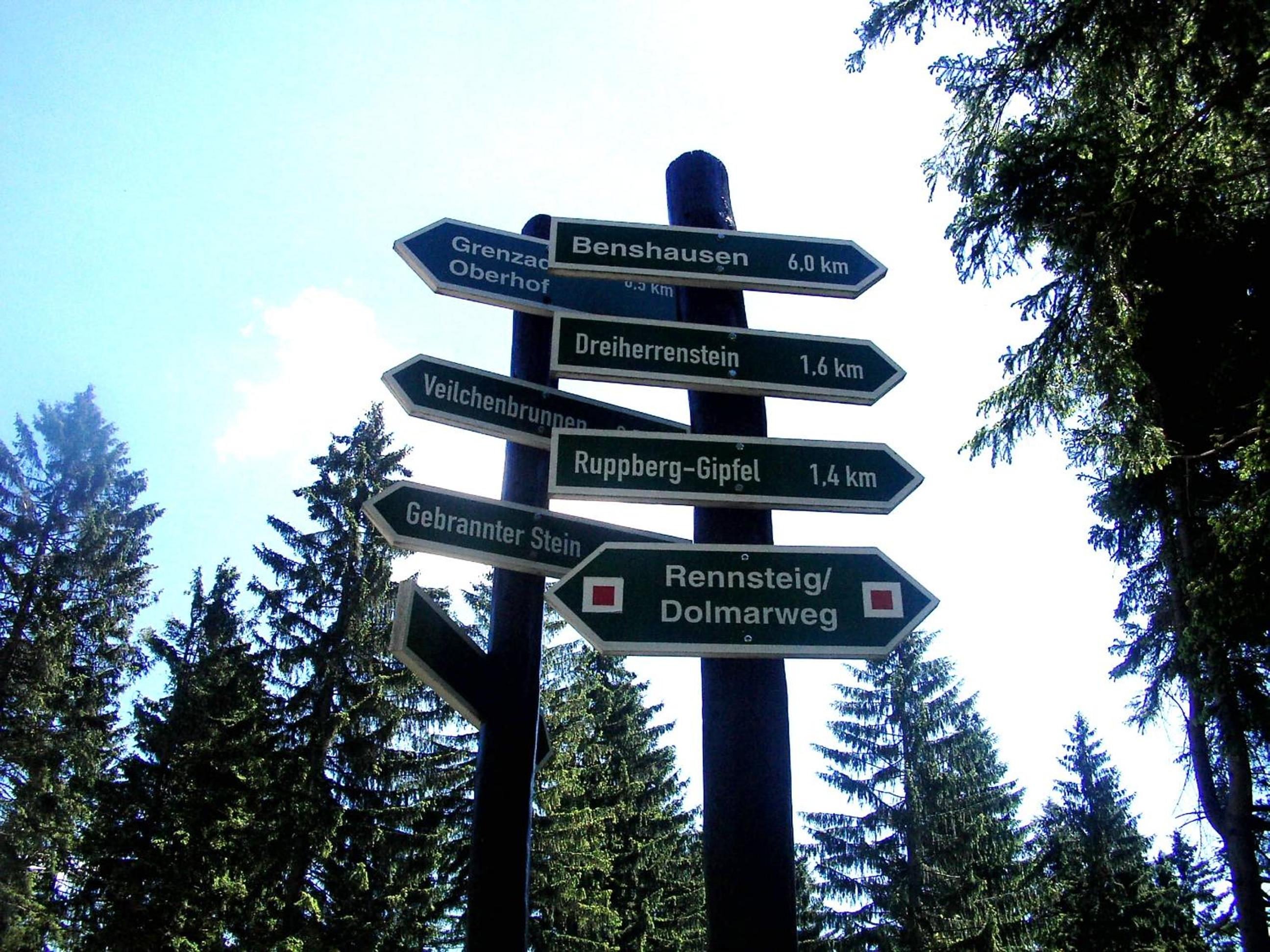 Kleines Haus am Wald