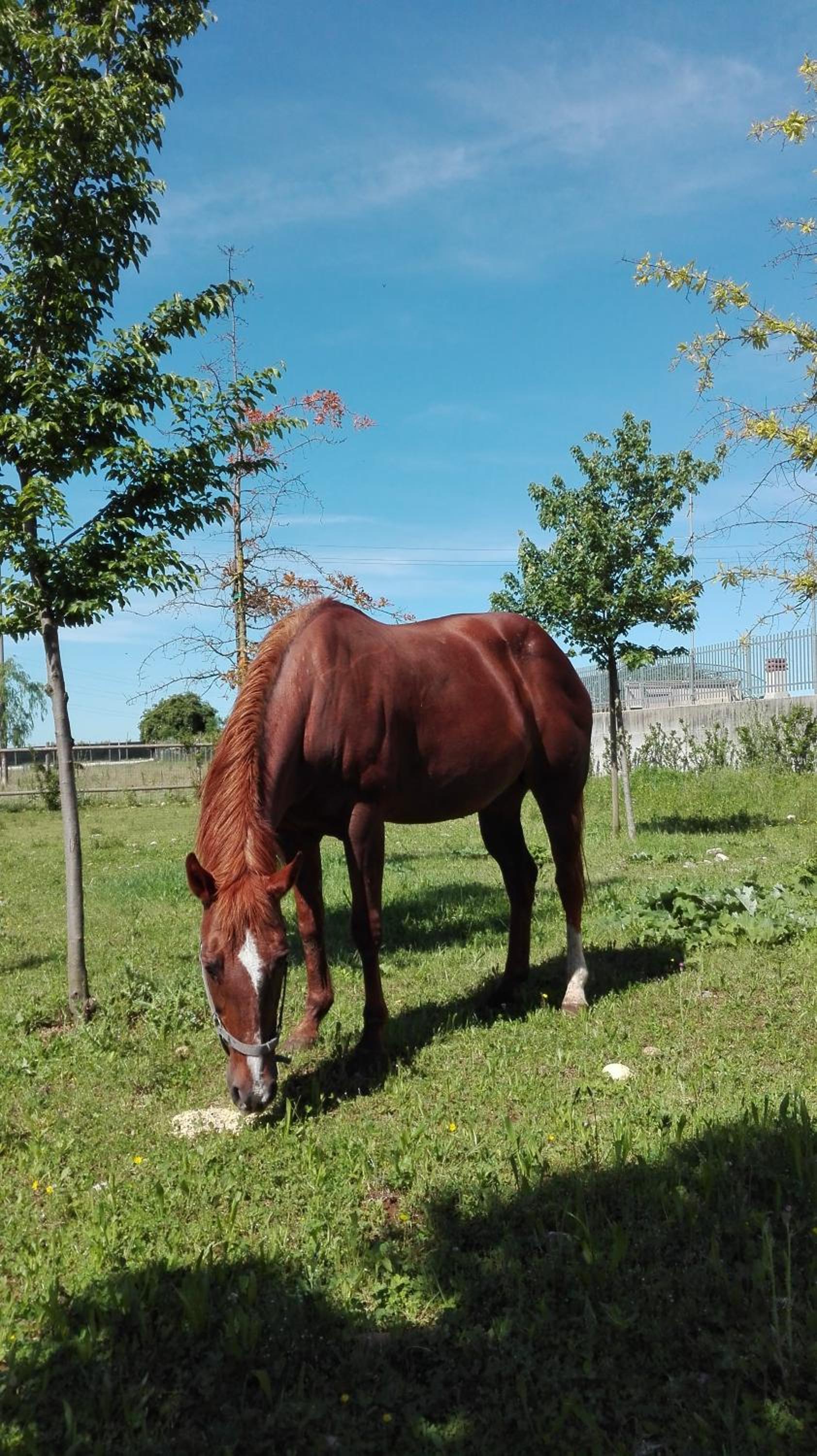 La Siesta, photo 43