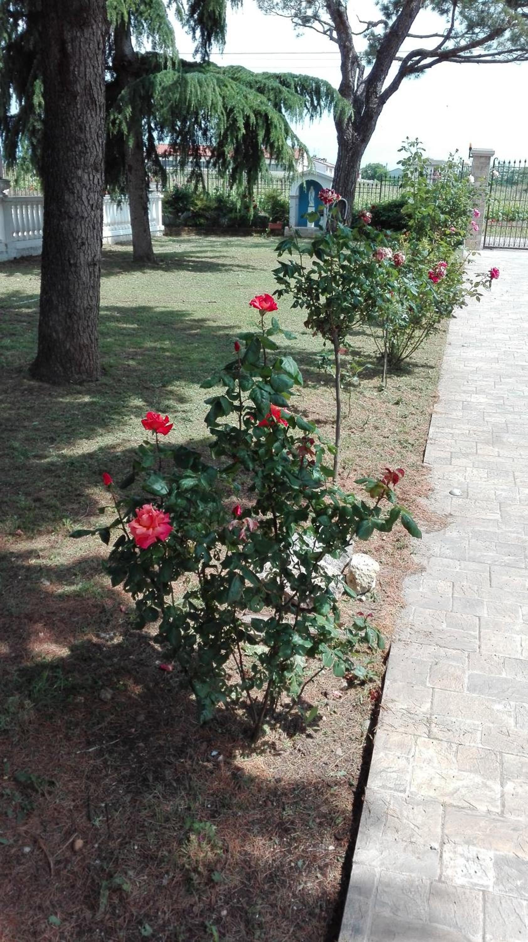La Siesta, photo 28