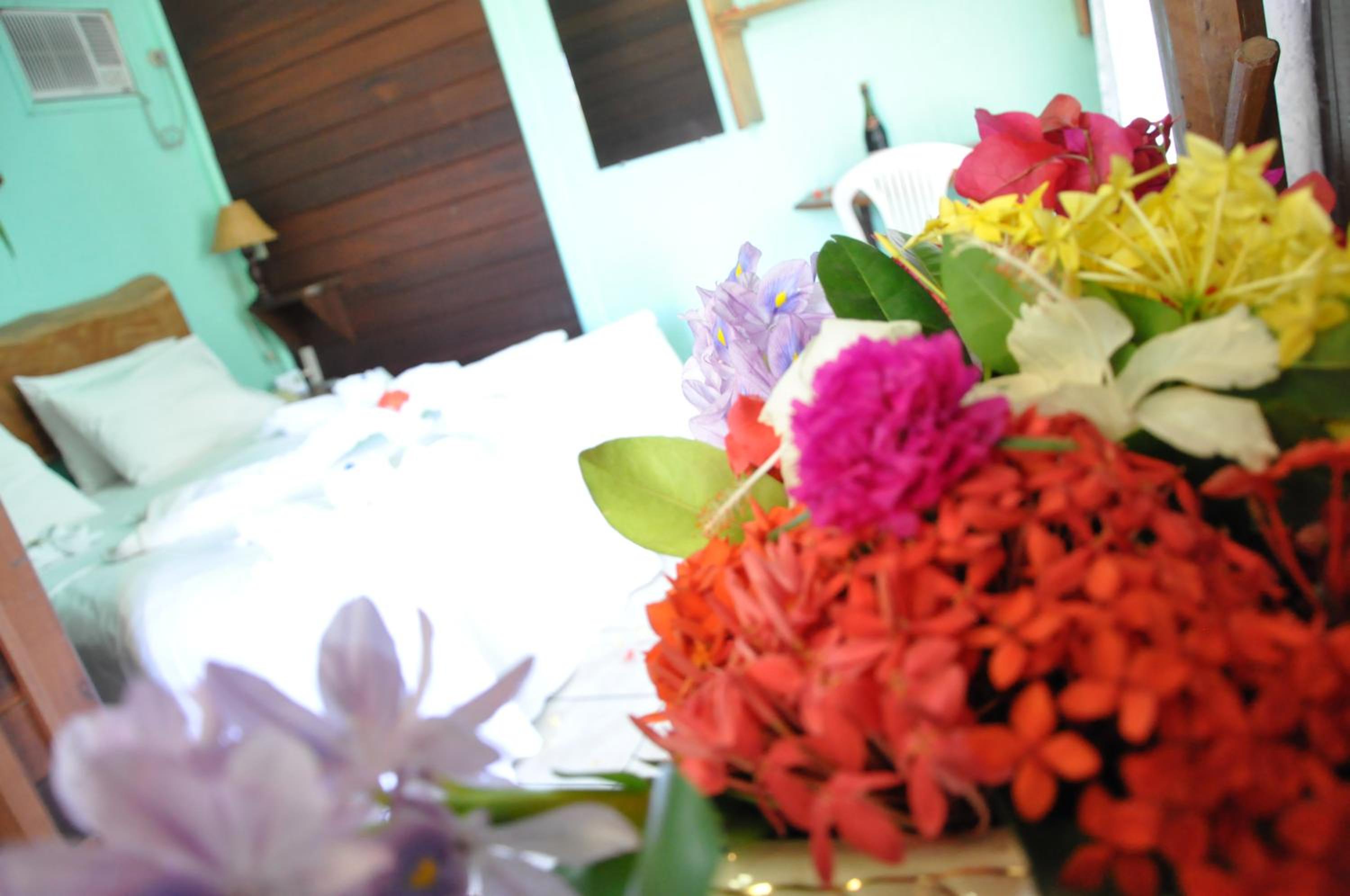 Photo 45