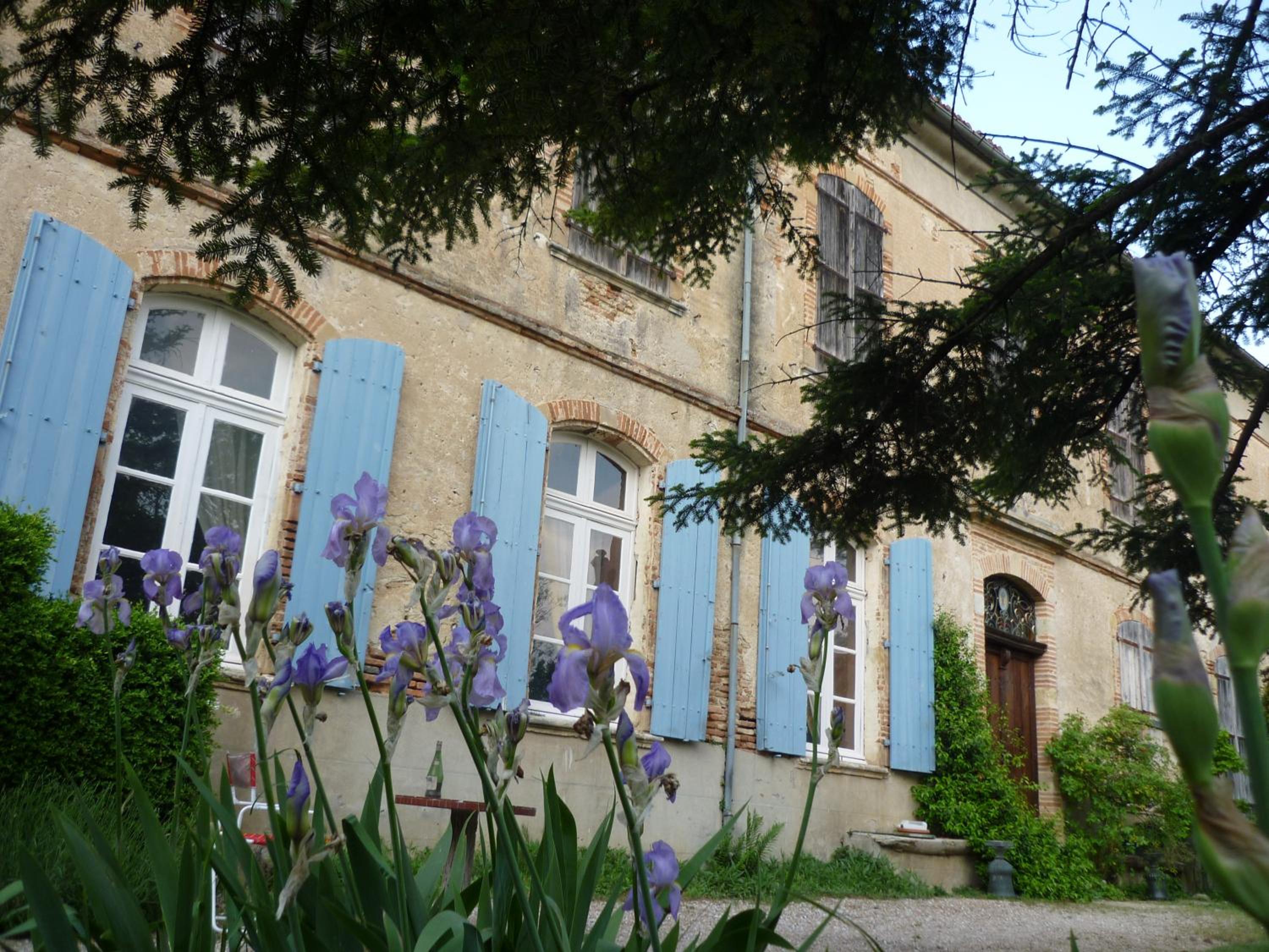 Photo 46