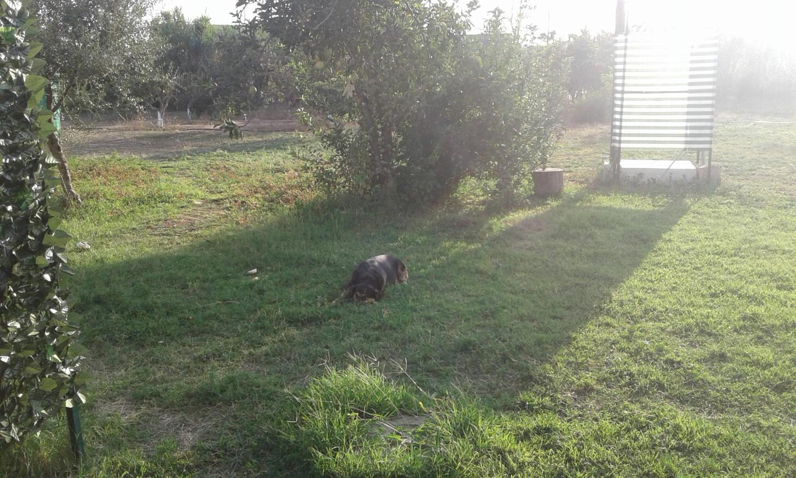 Photo 146