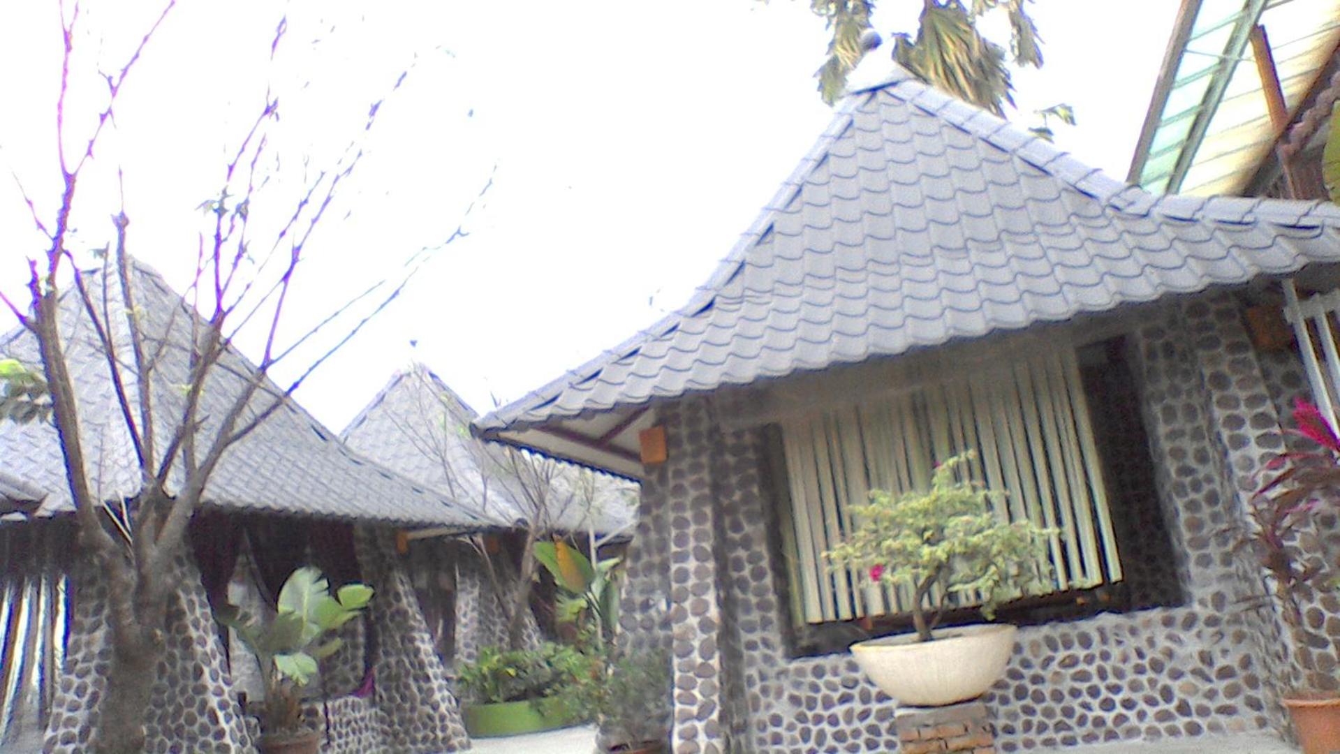 In Bali Inn