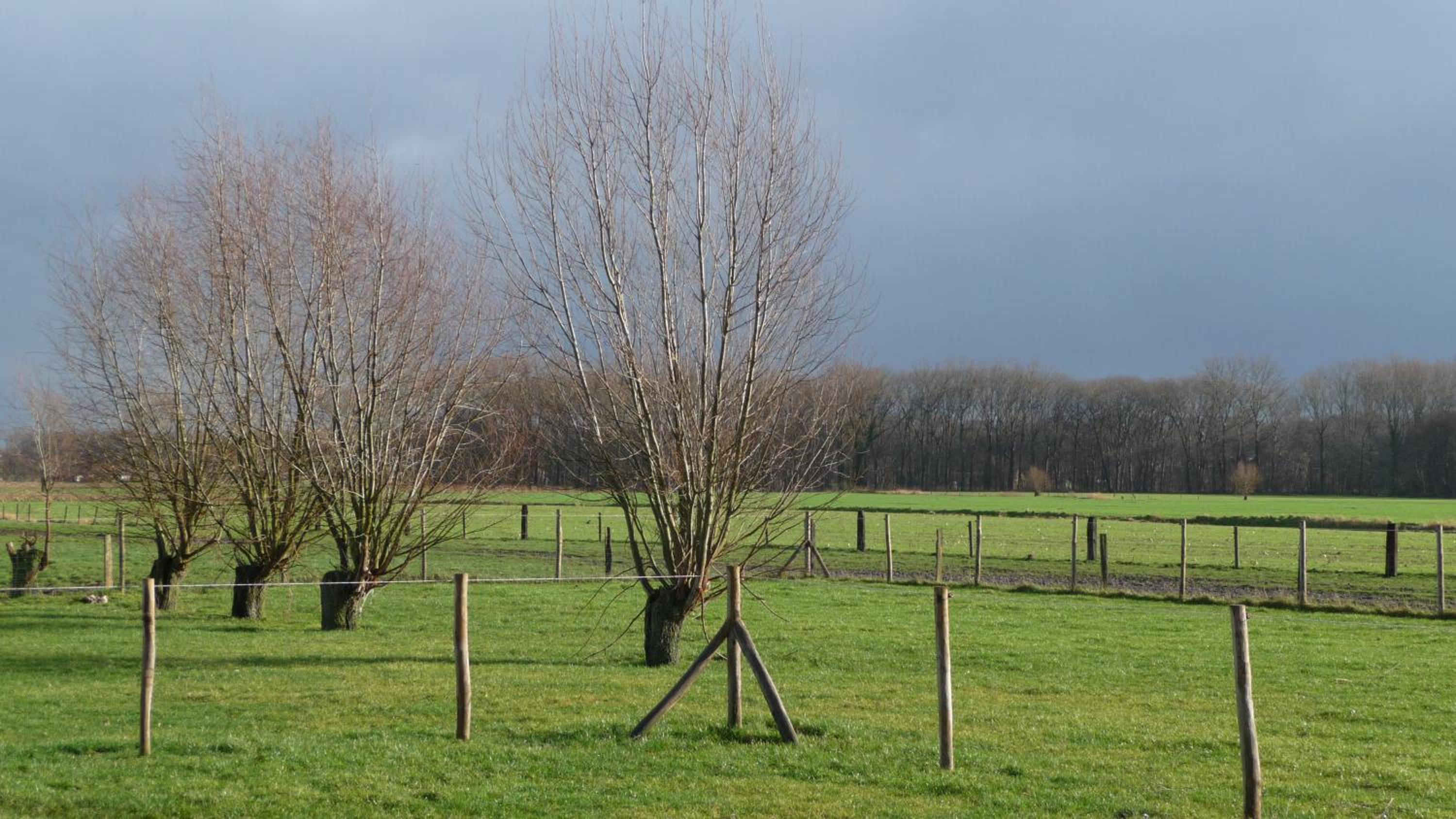 B&B De Vossenbarm