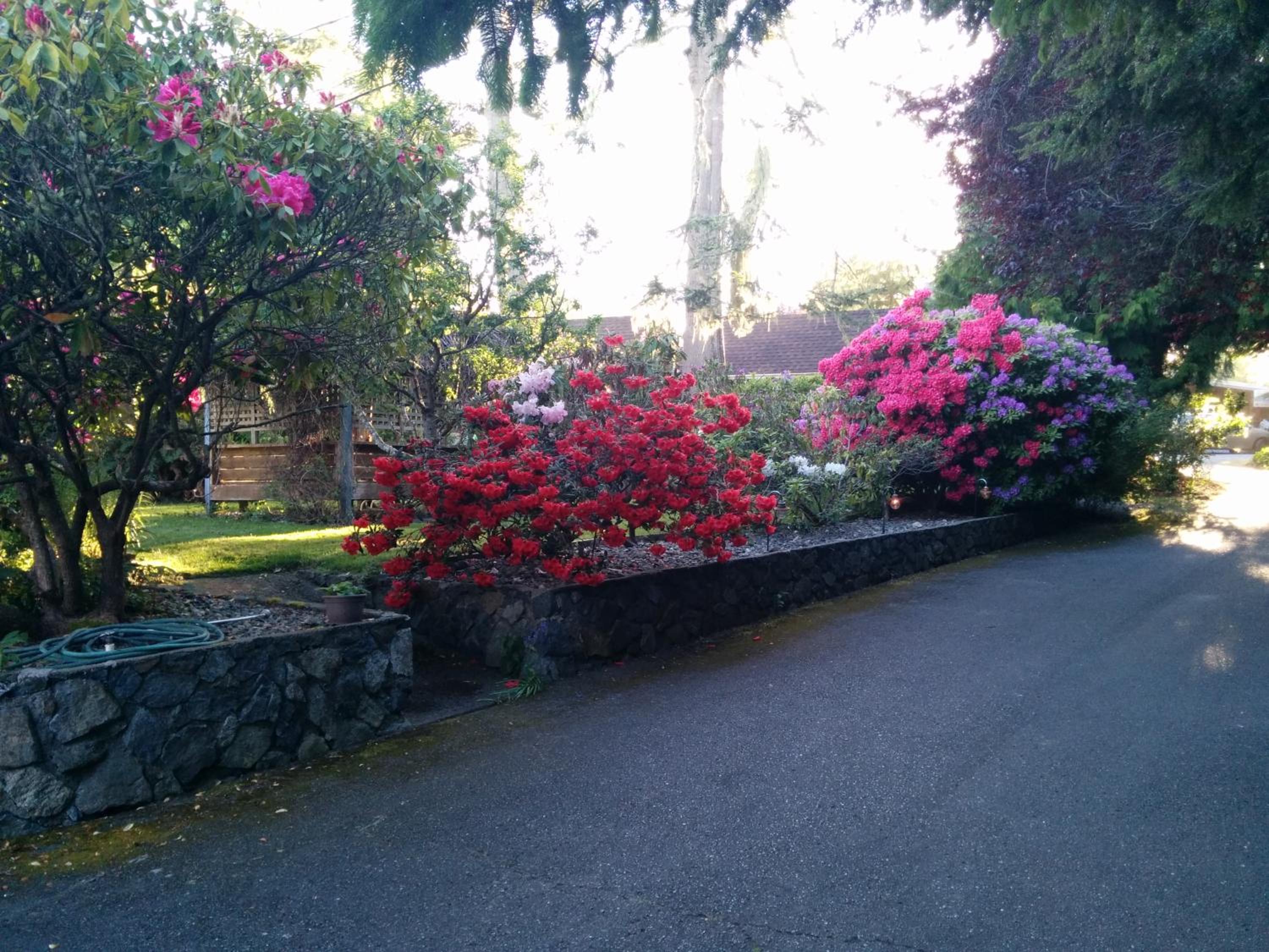 Sooke Vacations - Salty Towers Ocean Front Cottages - Property Image 48