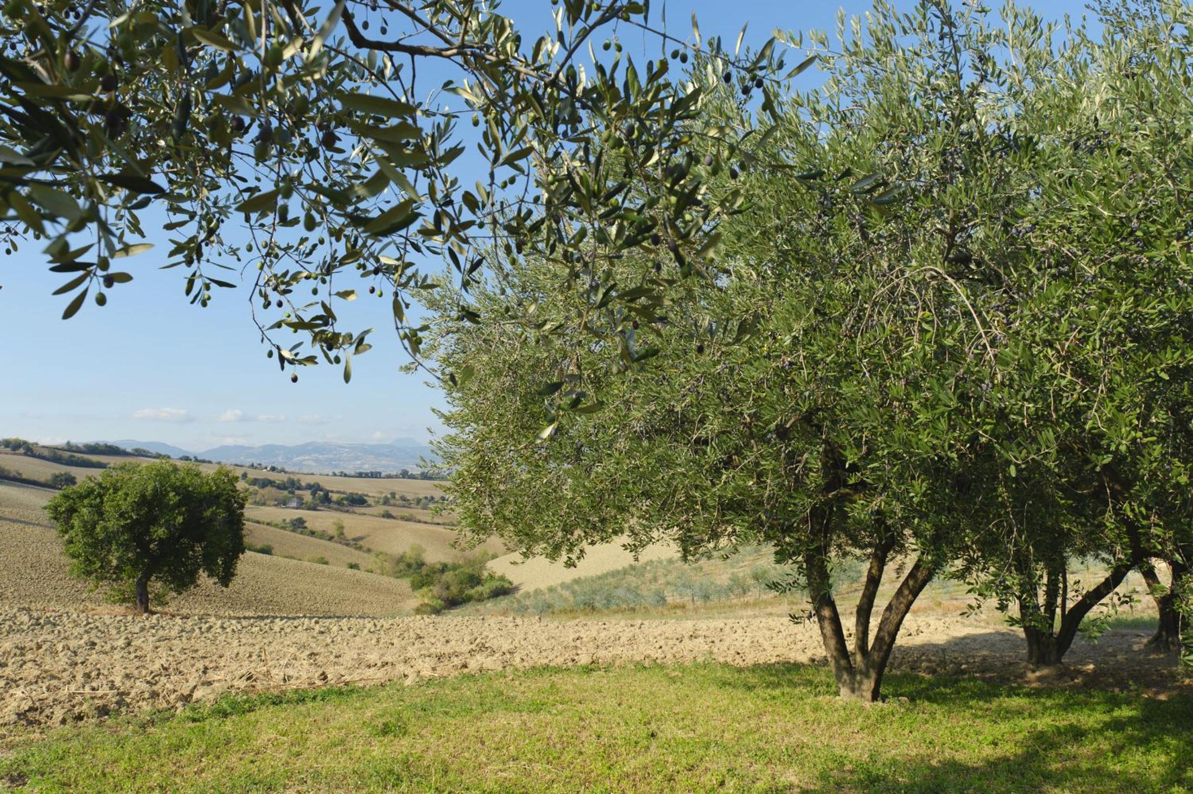 Relais Il Margarito