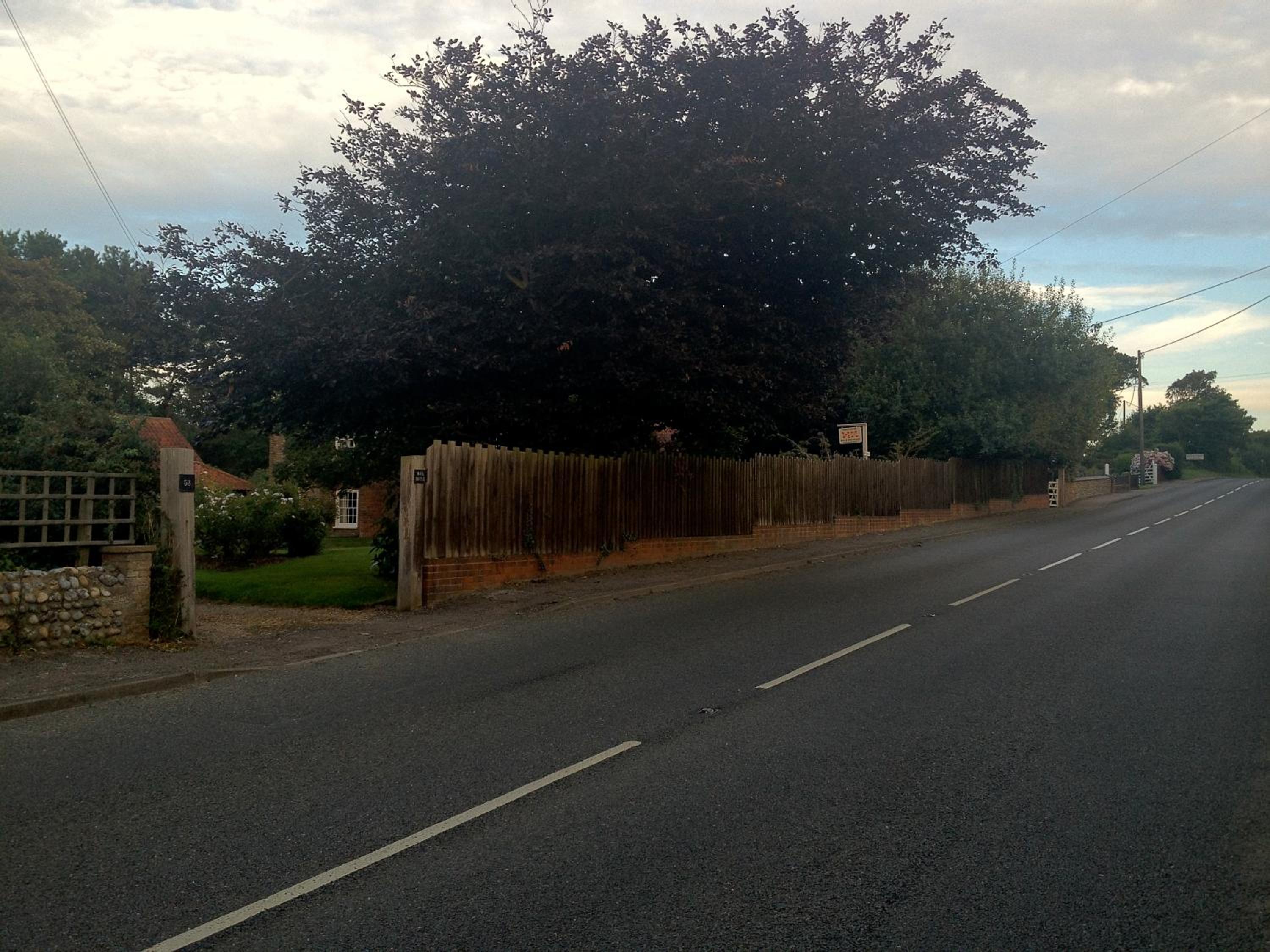 Photo 20