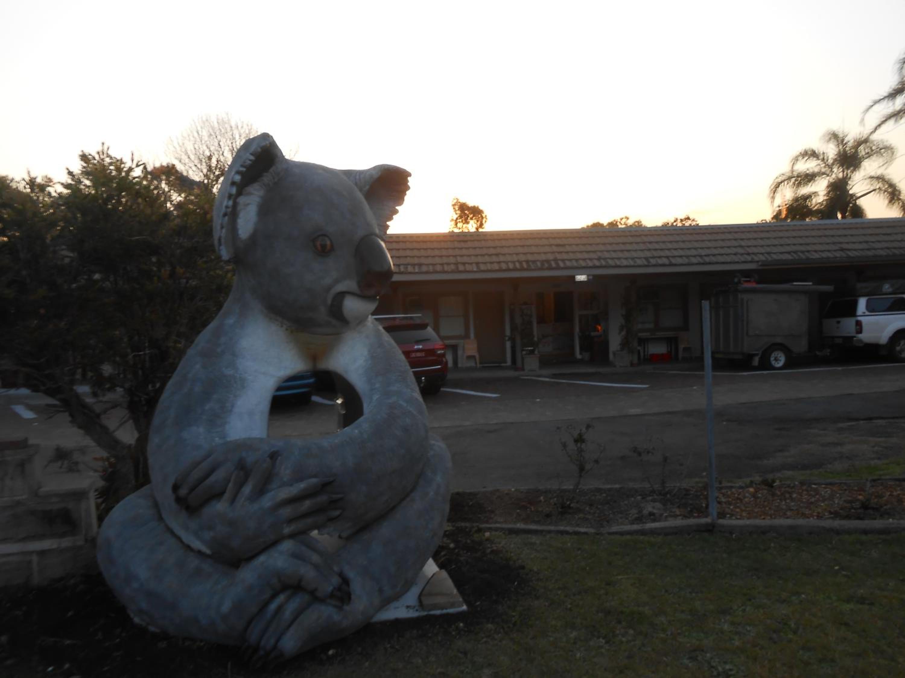 Photo 40