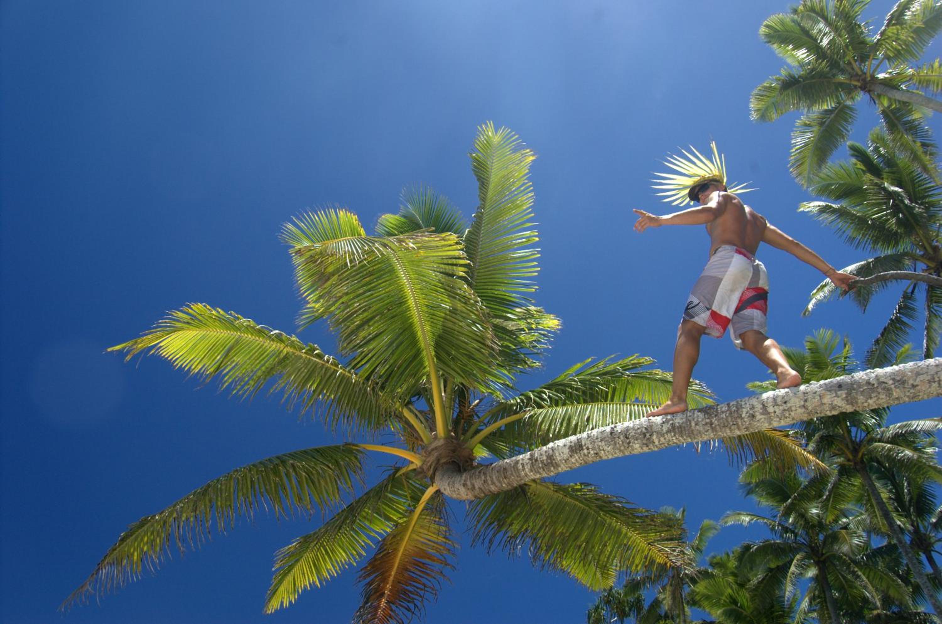 Maravu Taveuni Lodge