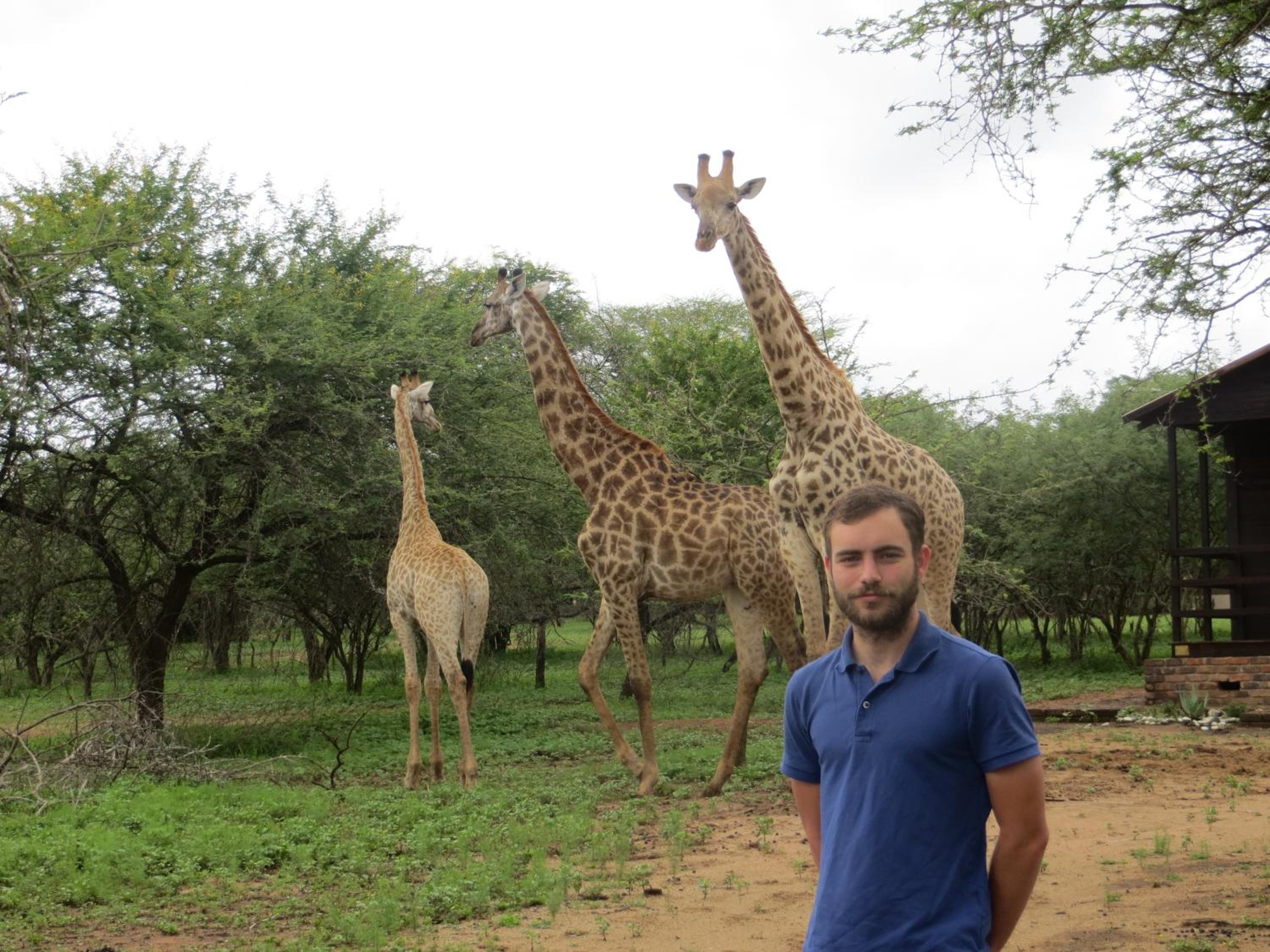 Kruger Safari Animal Encounter
