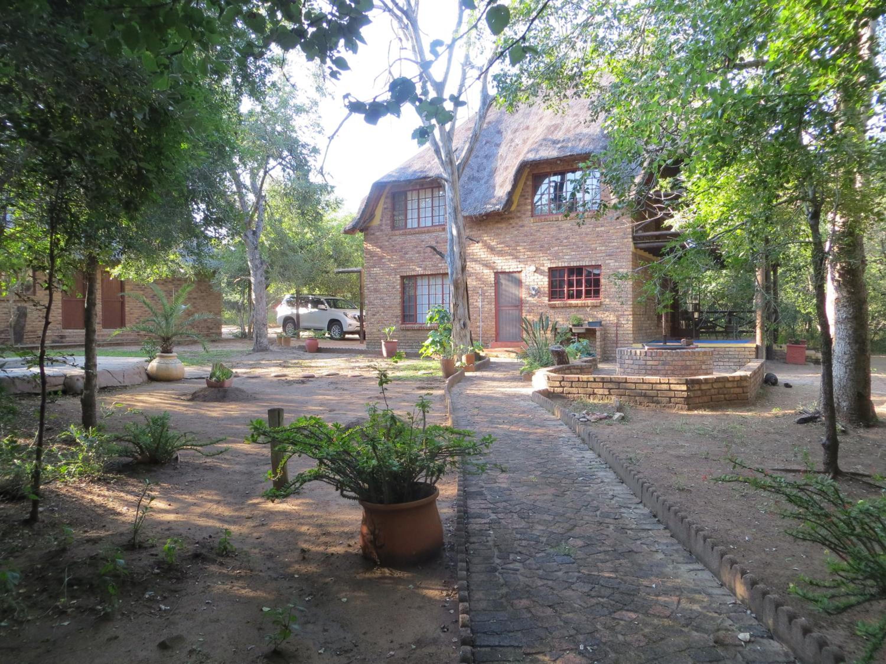 Kruger Safari Animal Encounter
