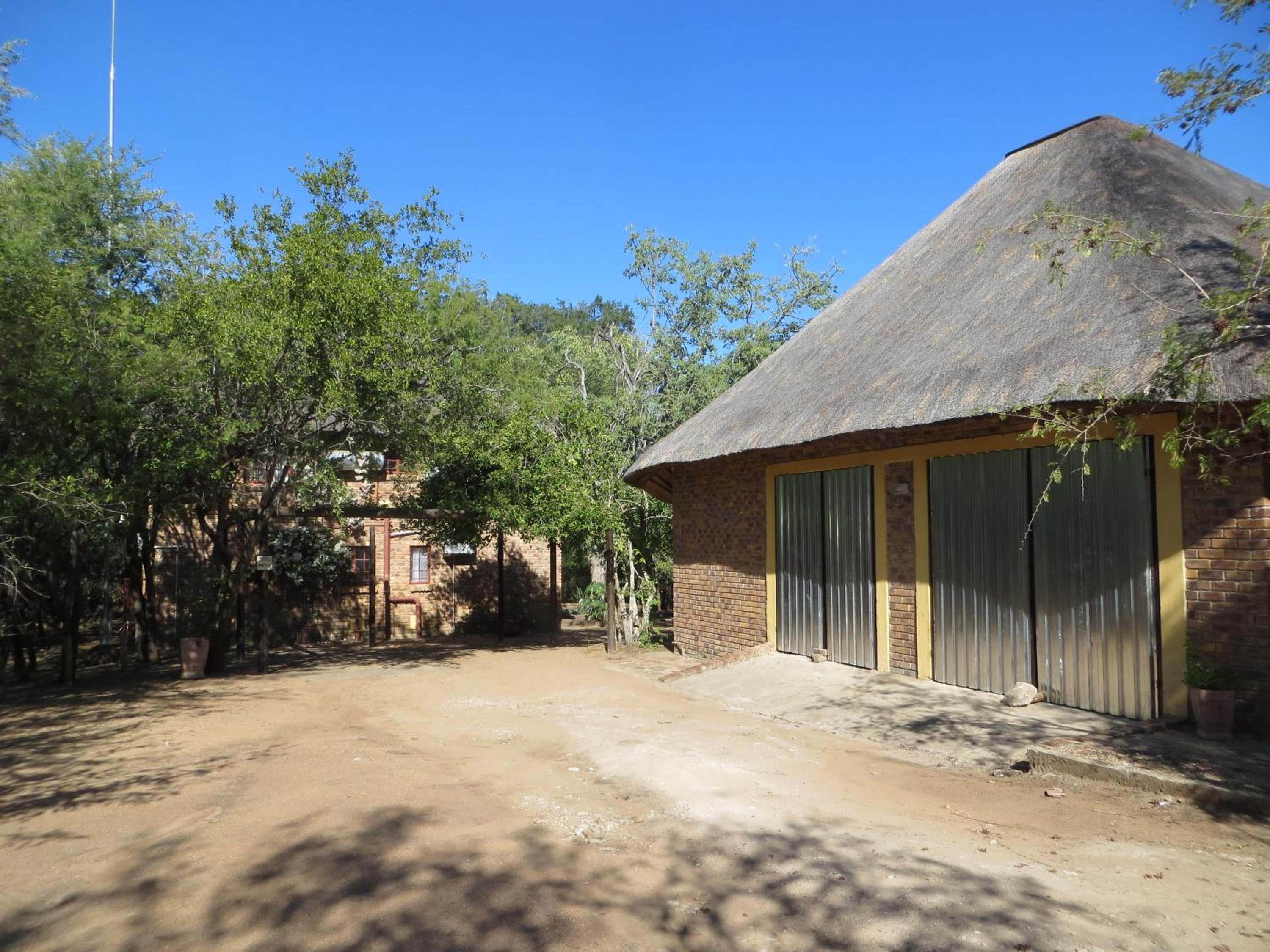 Kruger Safari Animal Encounter