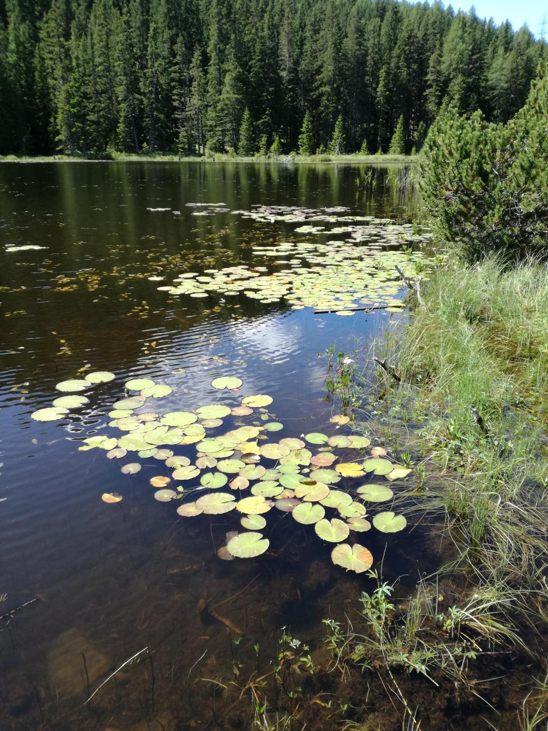 Photo 52