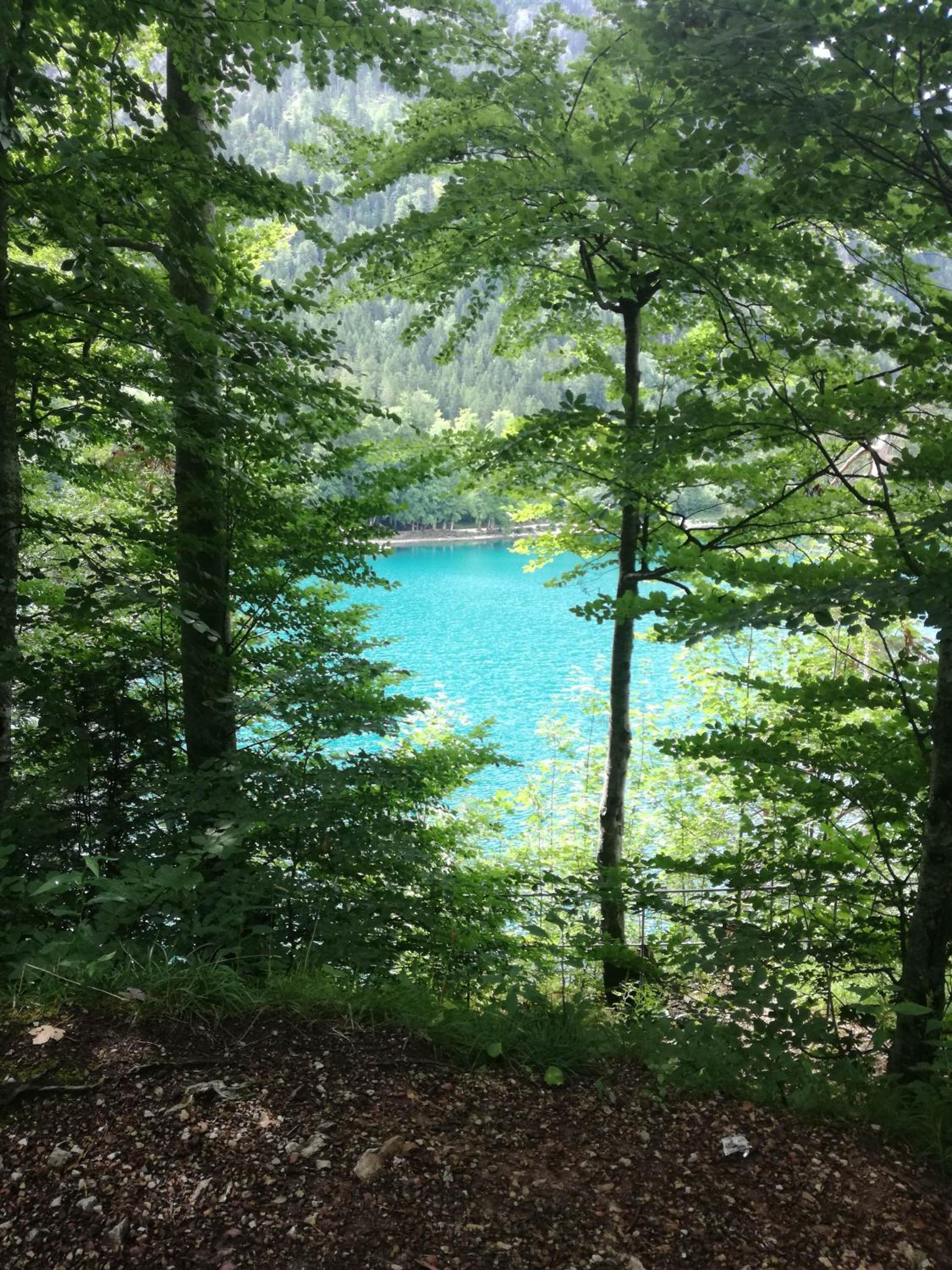 Gasthof Schwarzer Adler in Hägerau-Steeg Naturpark Lechtal
