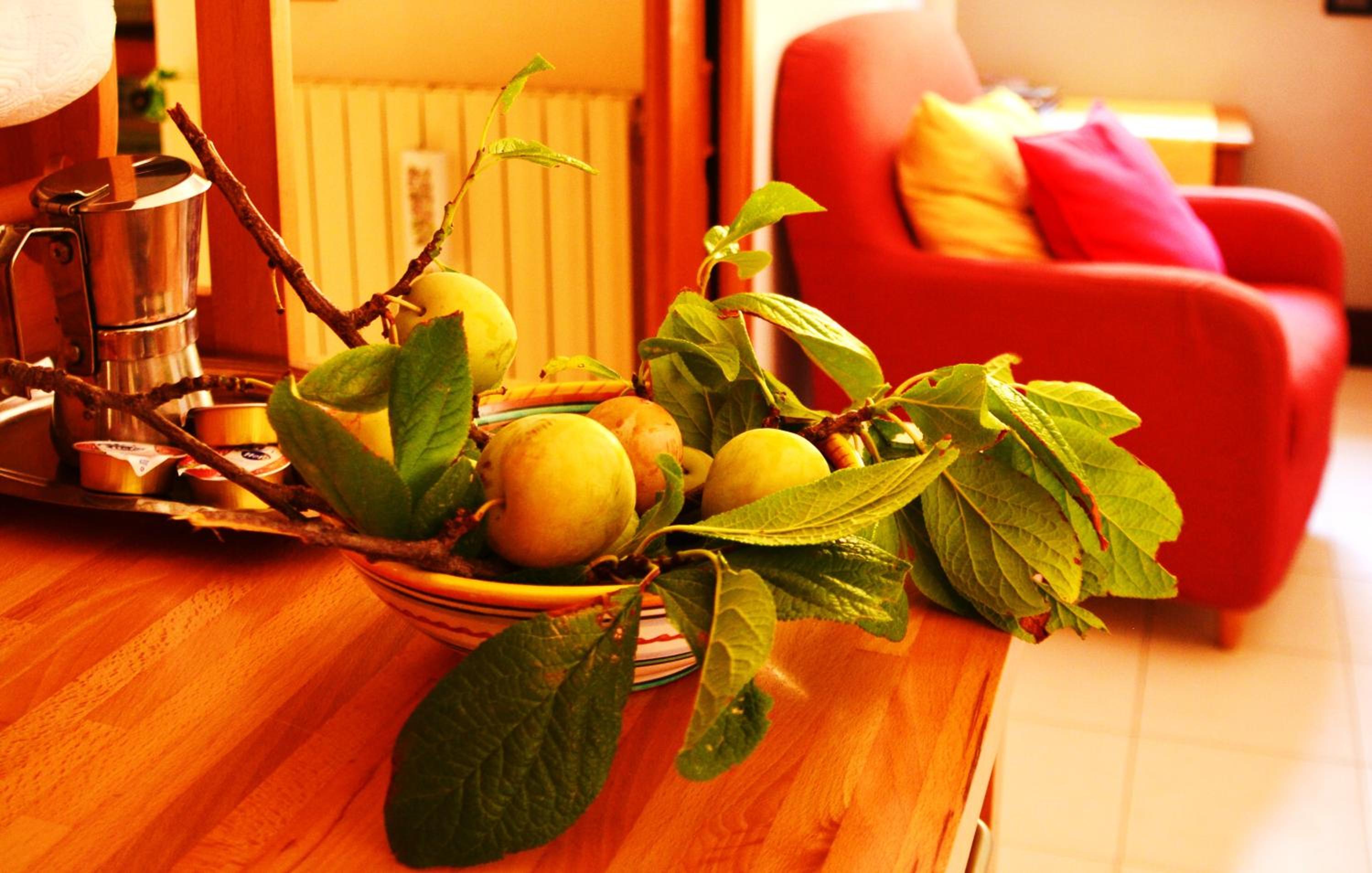 B&B Albachiara Casa di Campagna