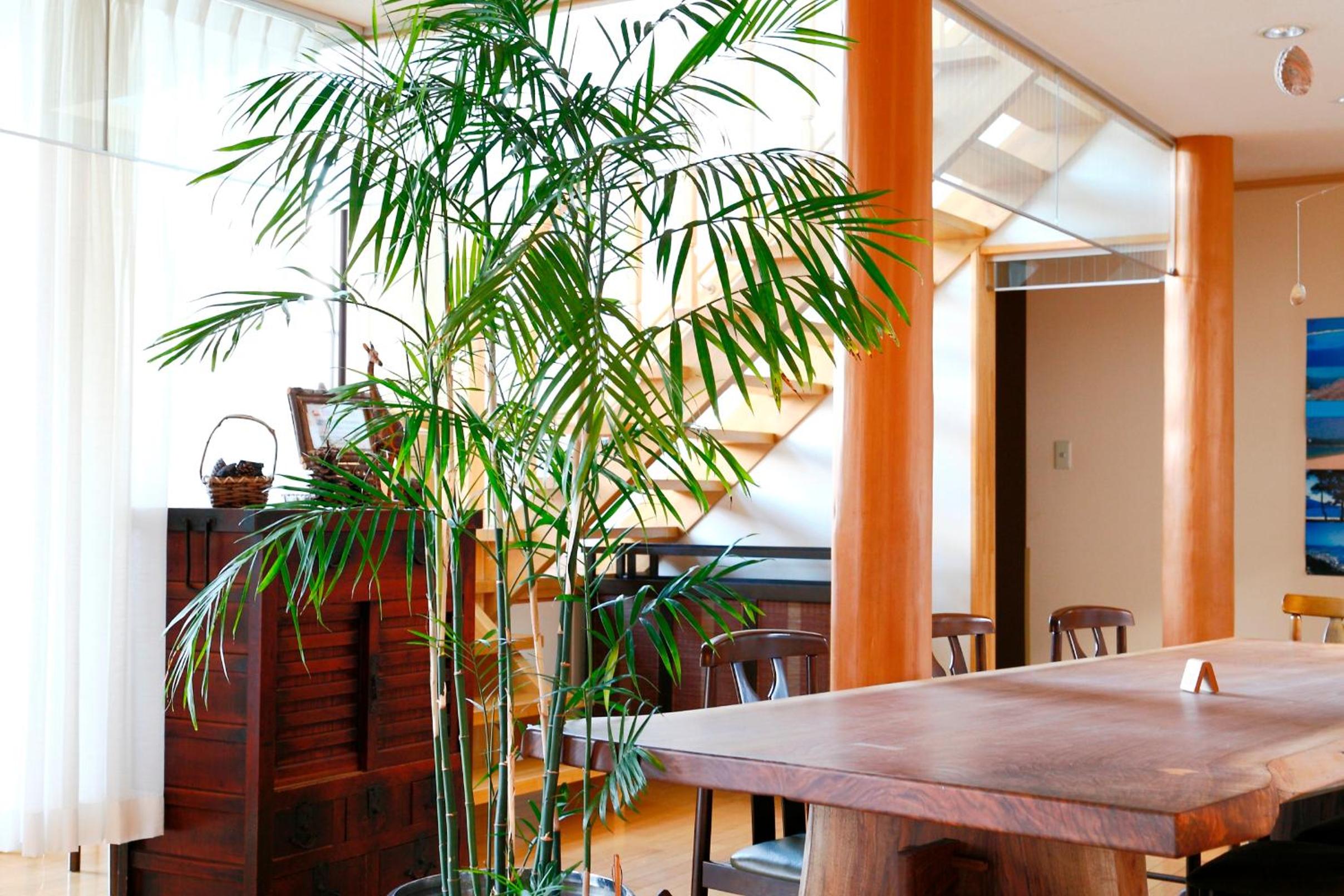 Tsuruga Sazanami Resort Chobei view 5
