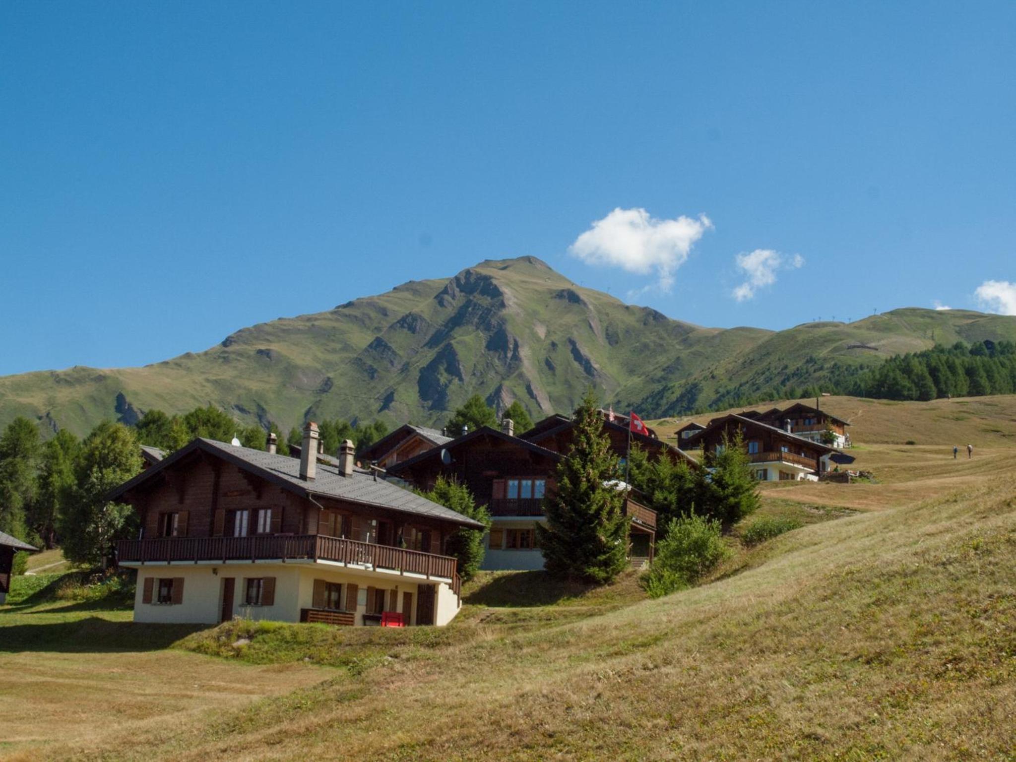 Chalet Fridi