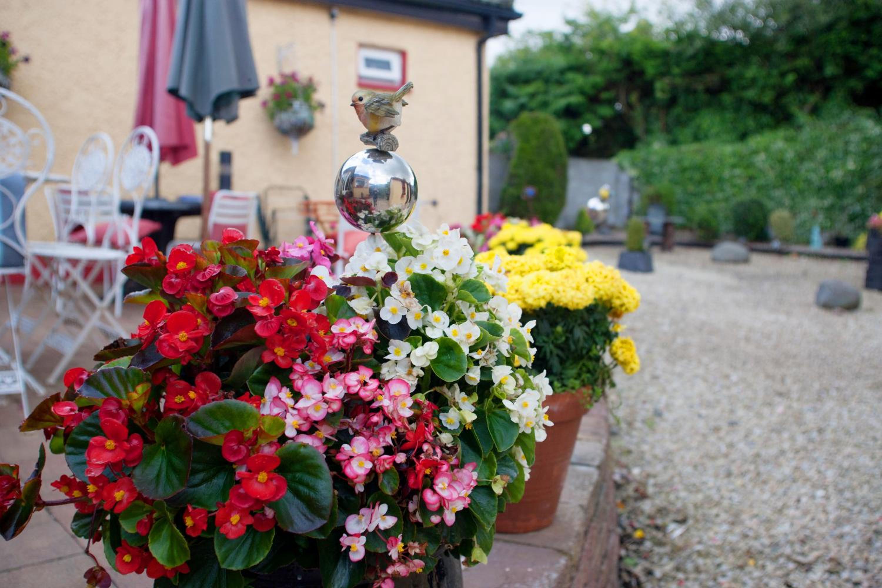Krakow B&B